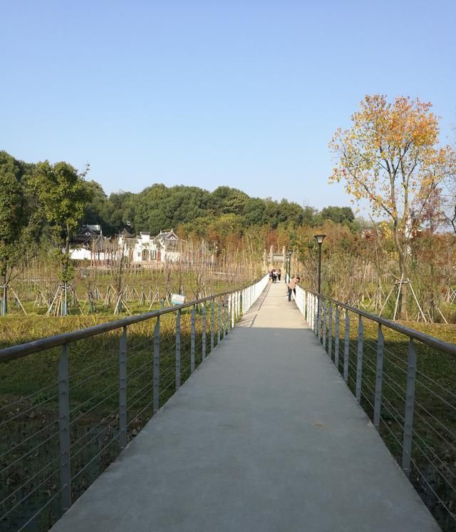 龙开故道公园旅行图片 2