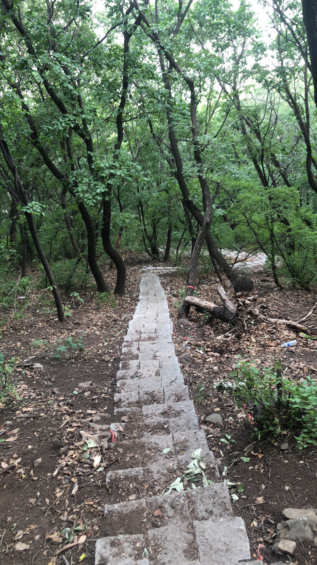 月华山旅行图片 3