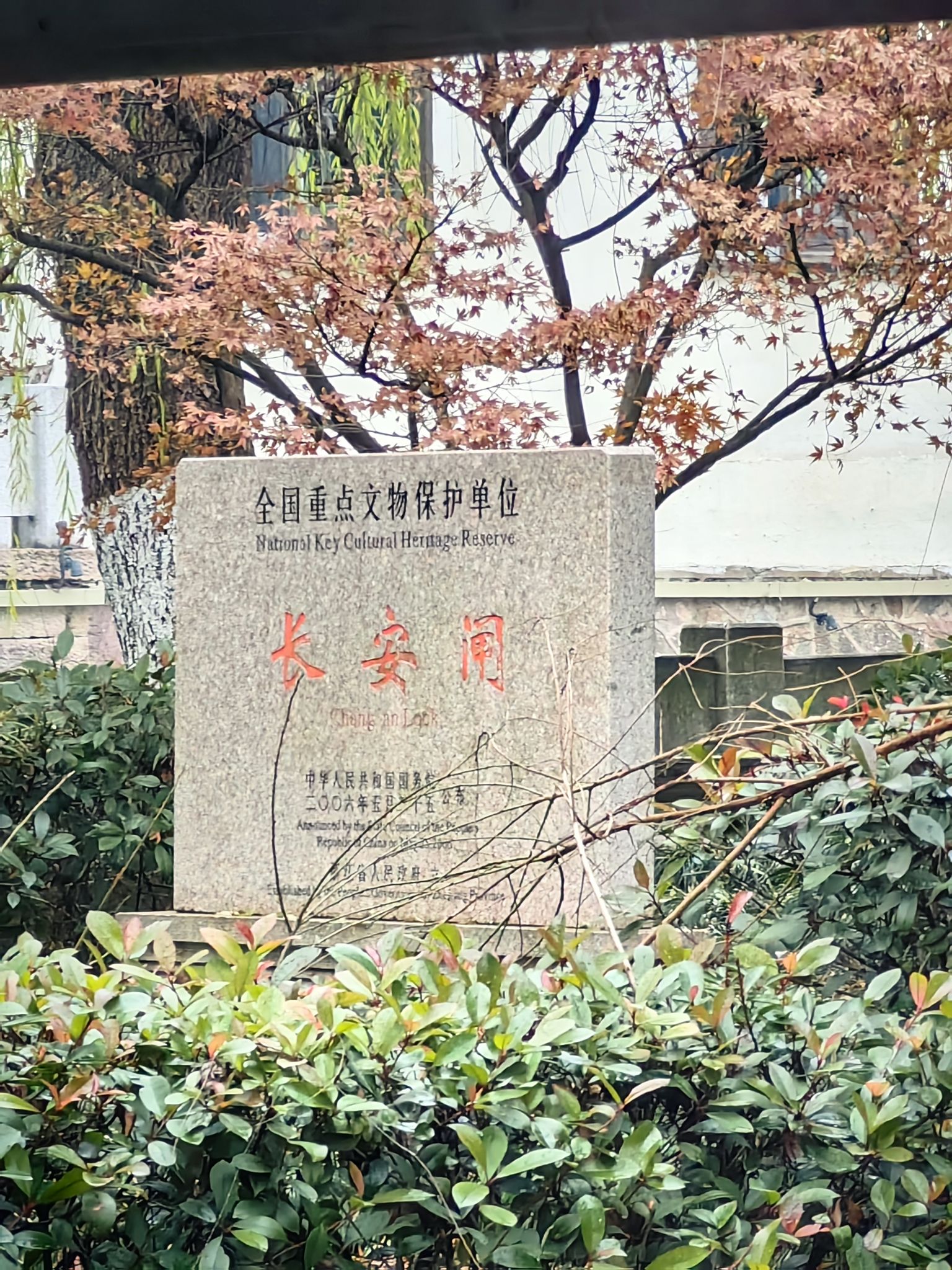 虹桥旅行图片 3