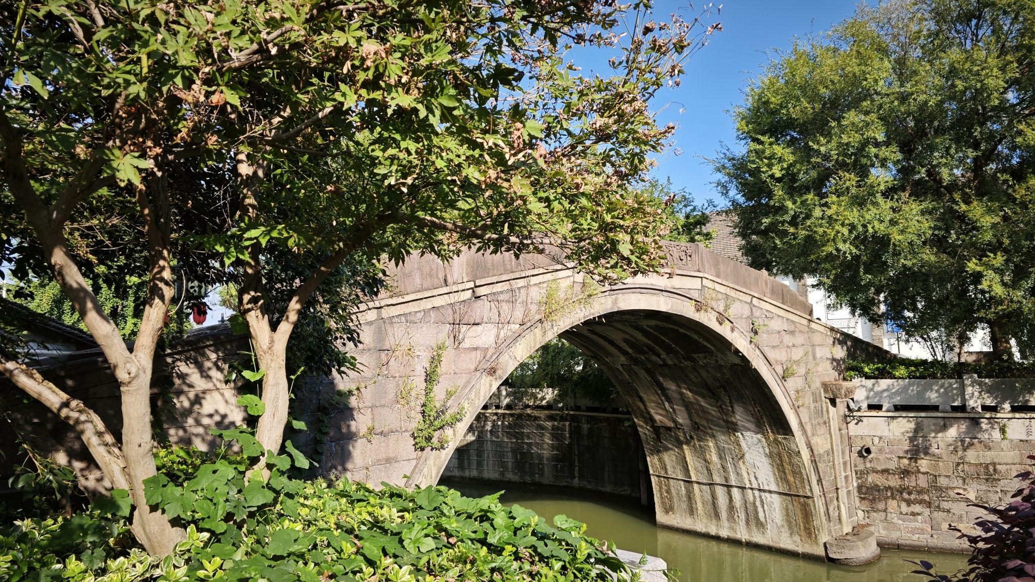 虹桥旅行图片 1