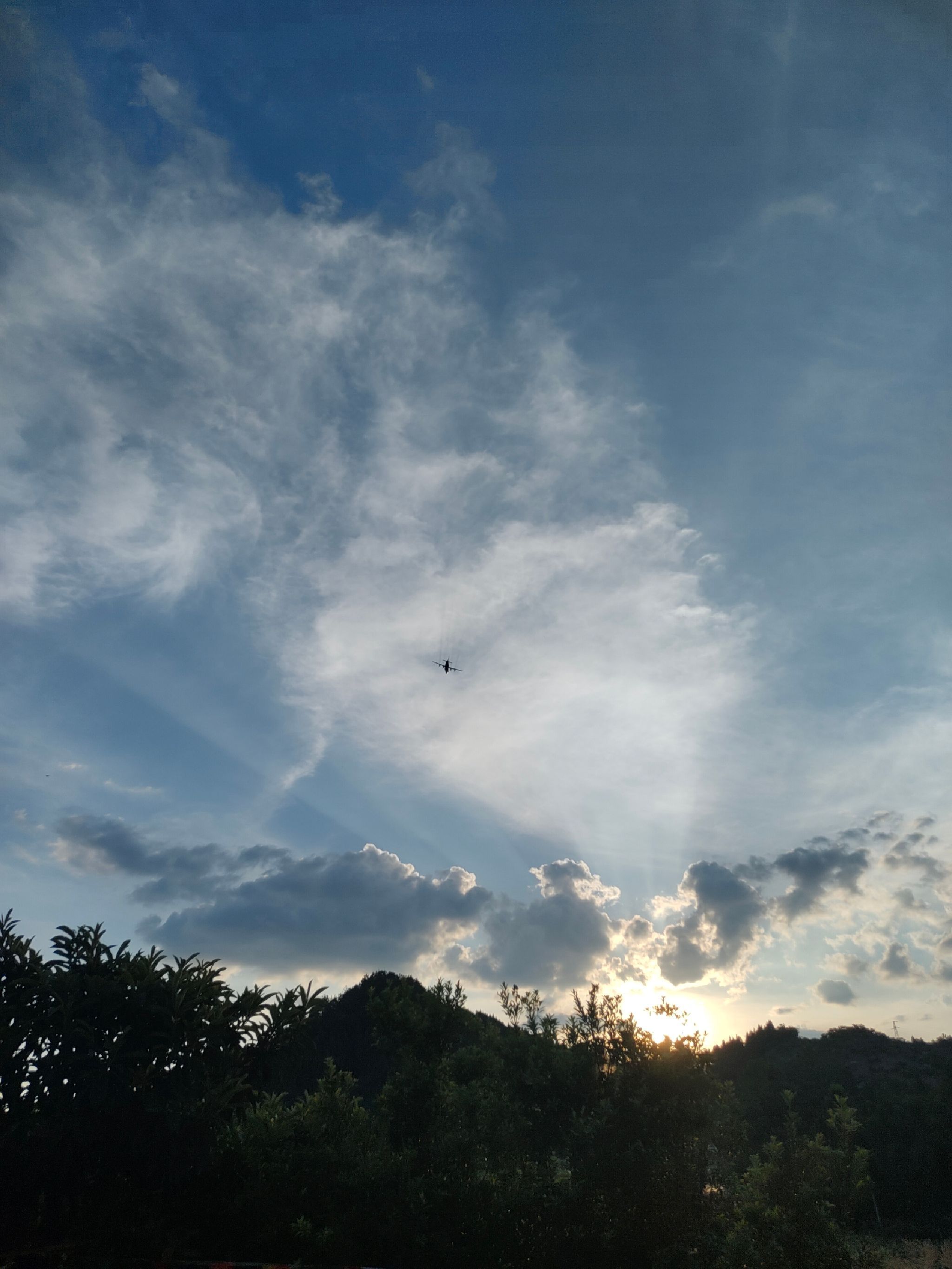 圣仙境旅行图片 1