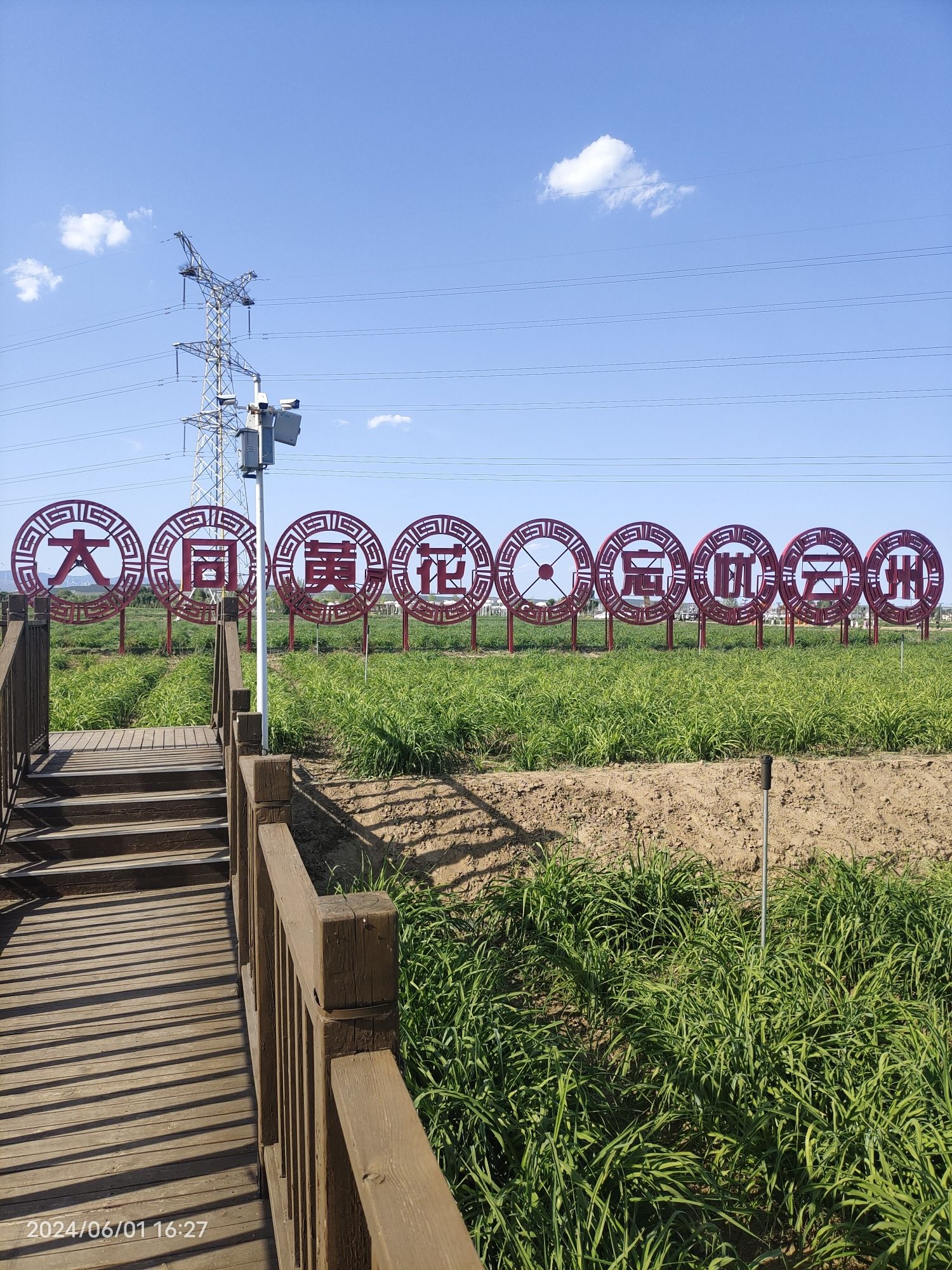 黄花公园旅行图片 2