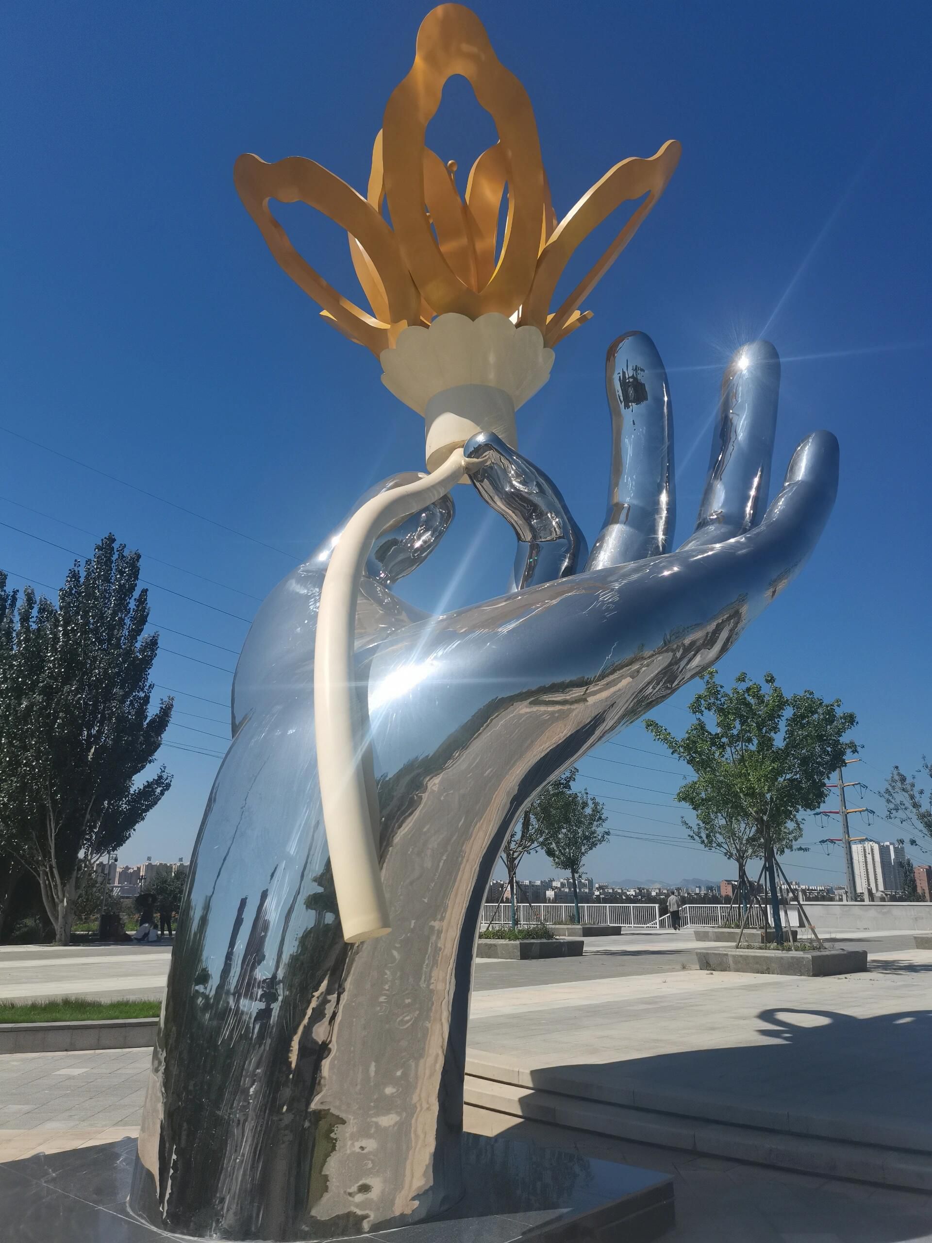 黄花公园旅行图片 1
