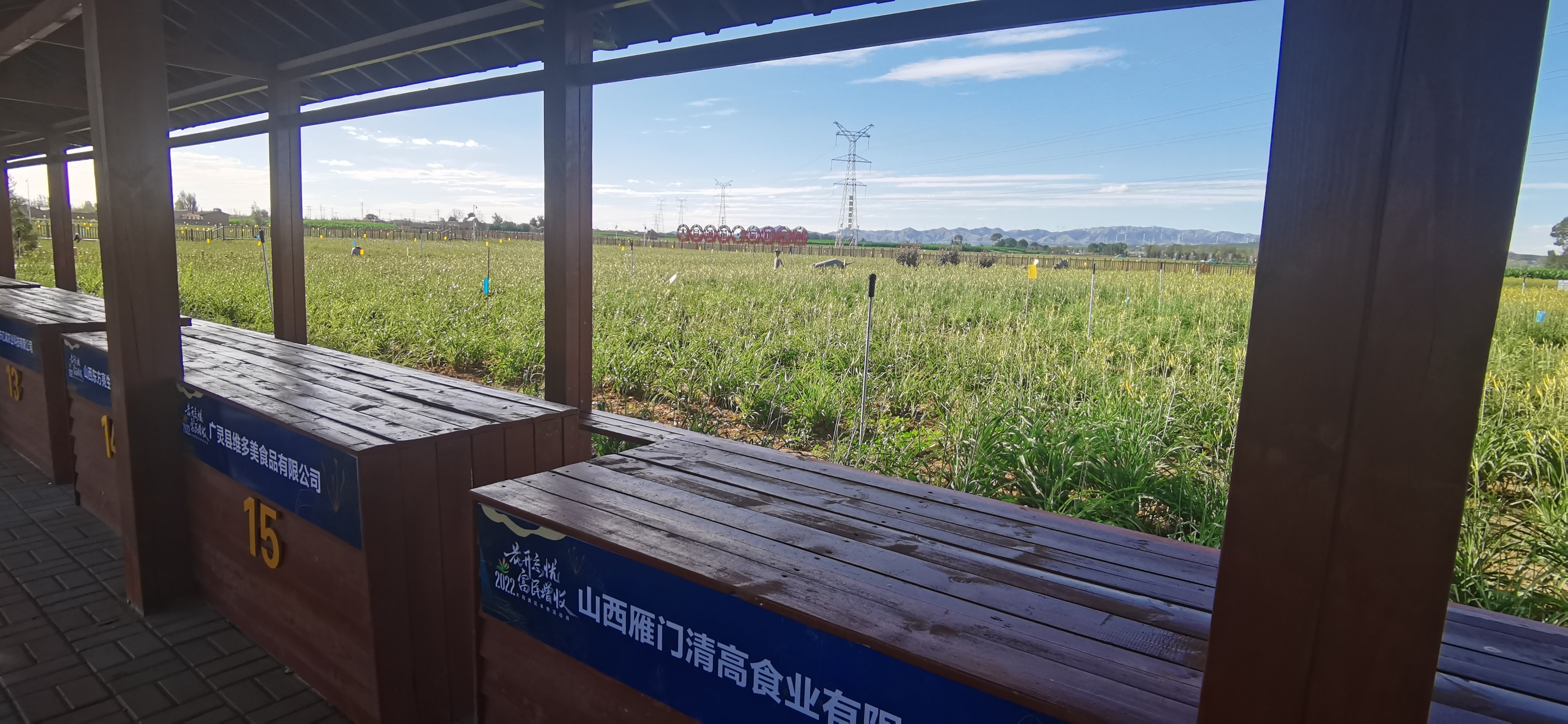黄花公园旅行图片 1