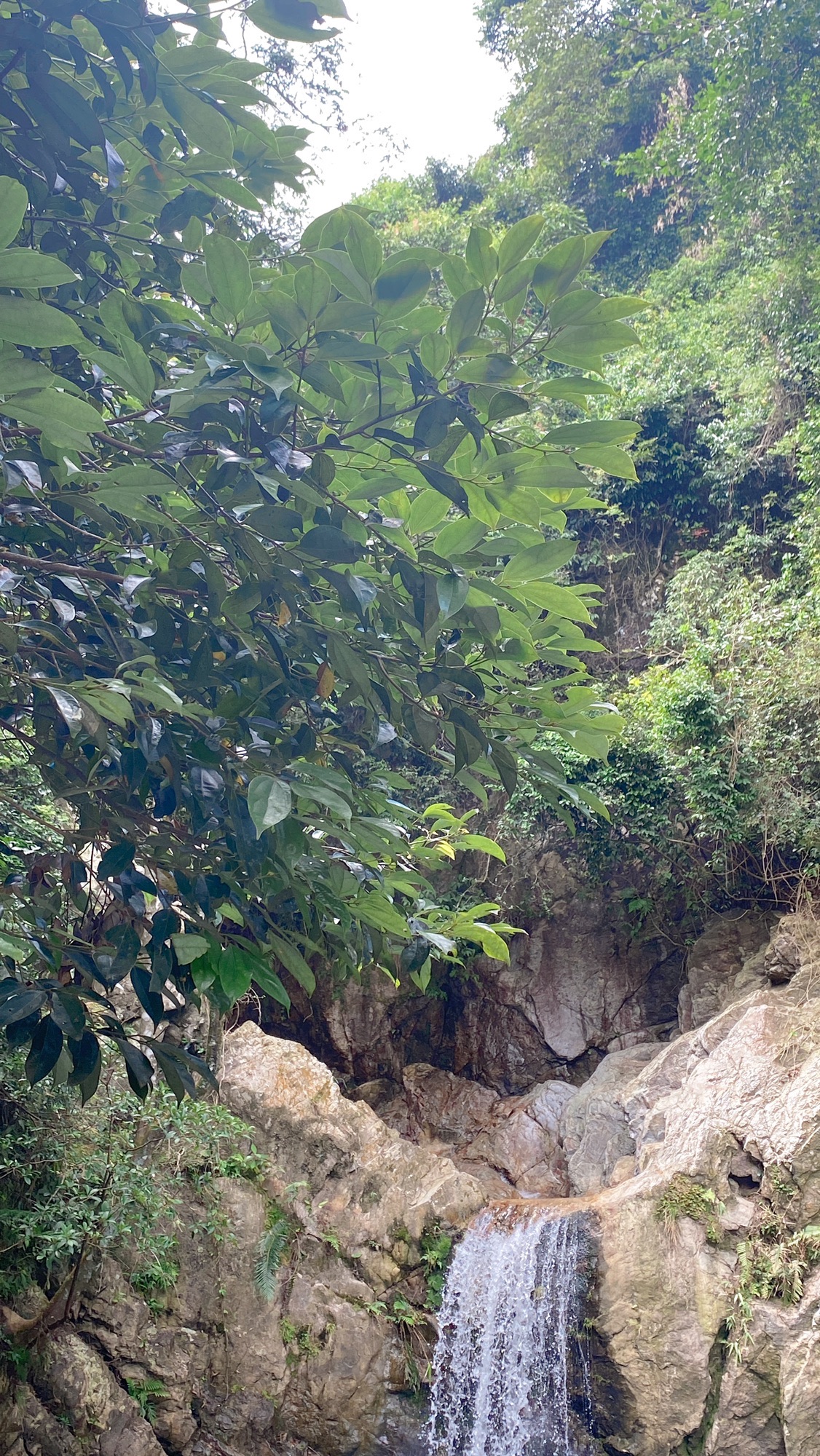 碧水潭旅行图片 1