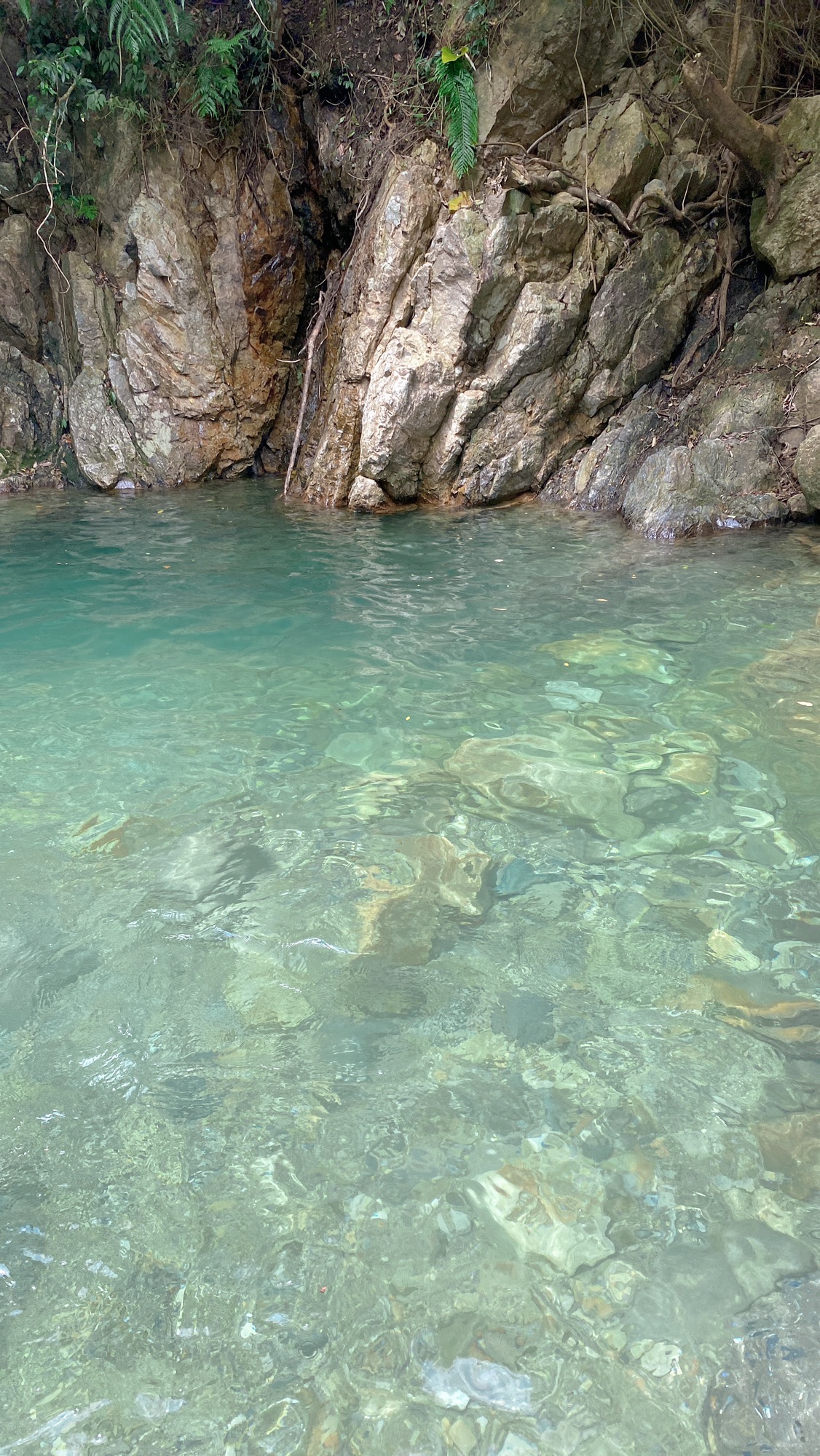 碧水潭旅行图片 2
