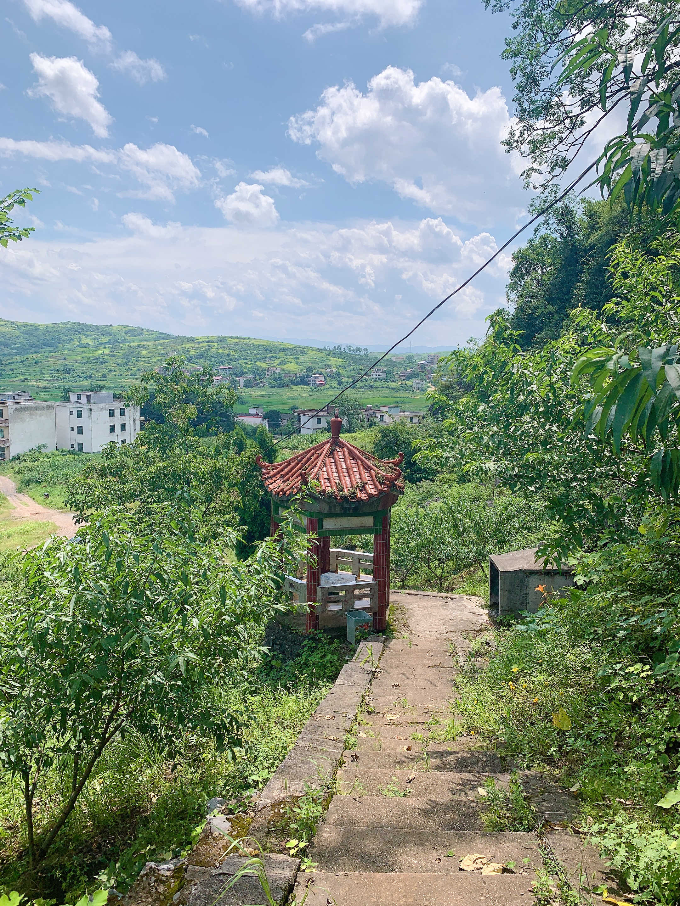 大井堰古井旅行图片 3