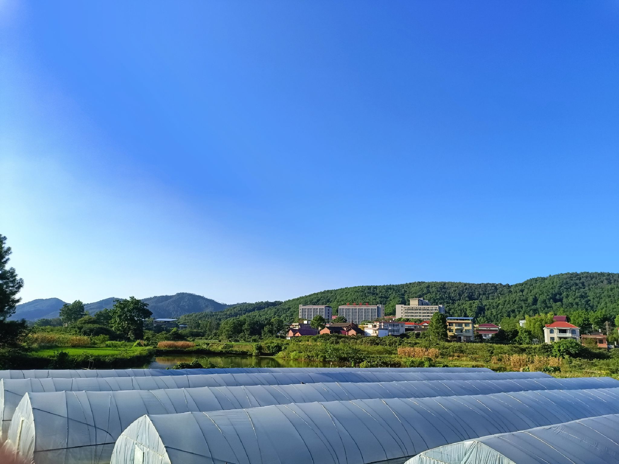 大井堰古井旅行图片 3