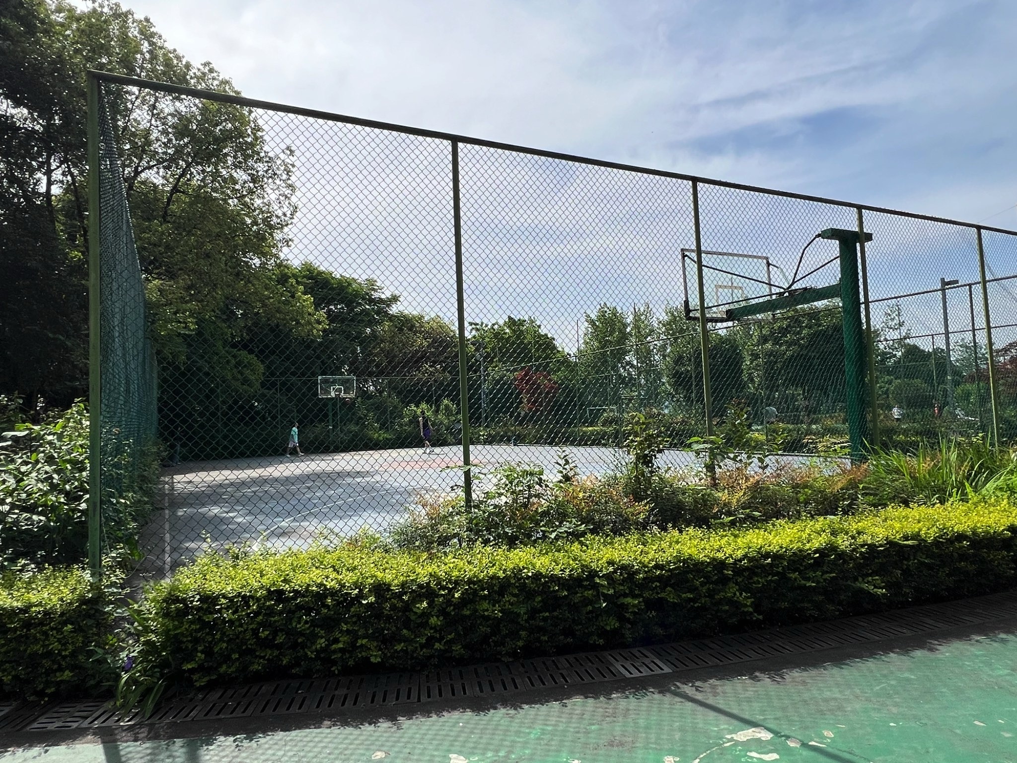 场地封面-照母山森林公园-篮球场