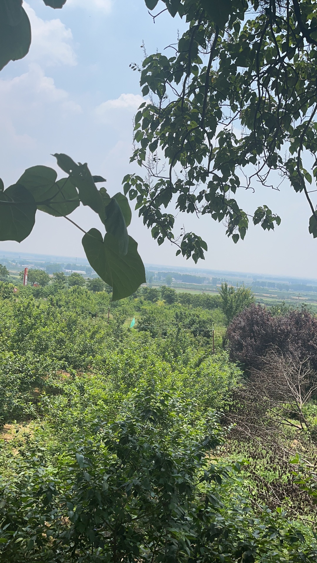 襄城首山旅行图片 1
