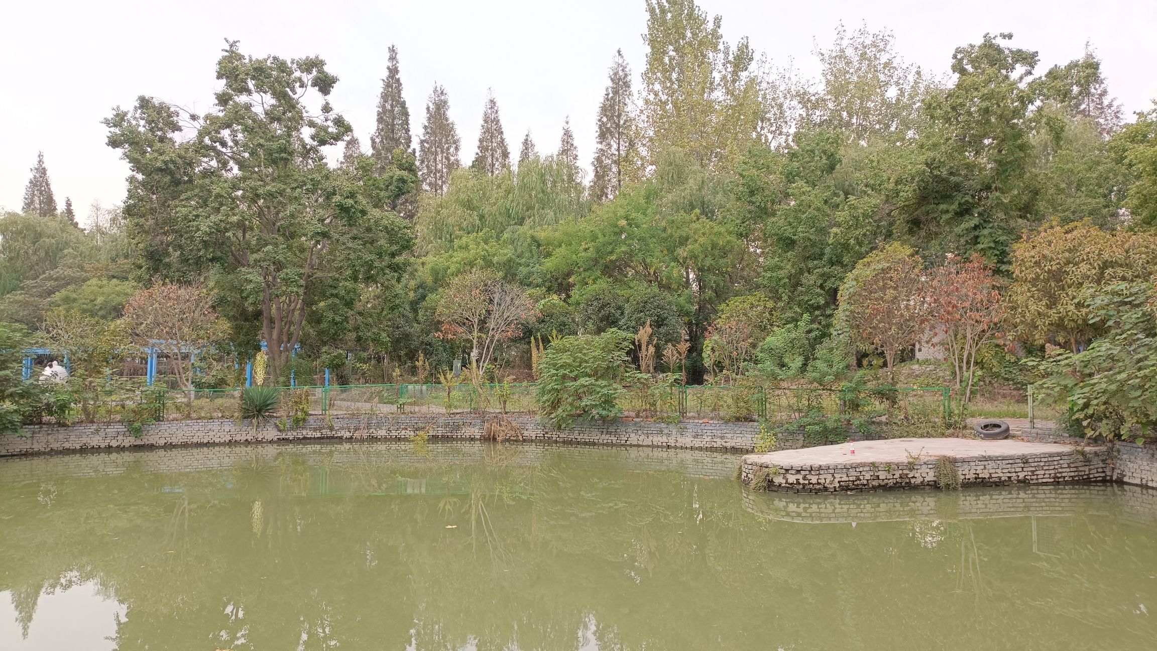 大圩生态农业旅游景区旅行图片 3