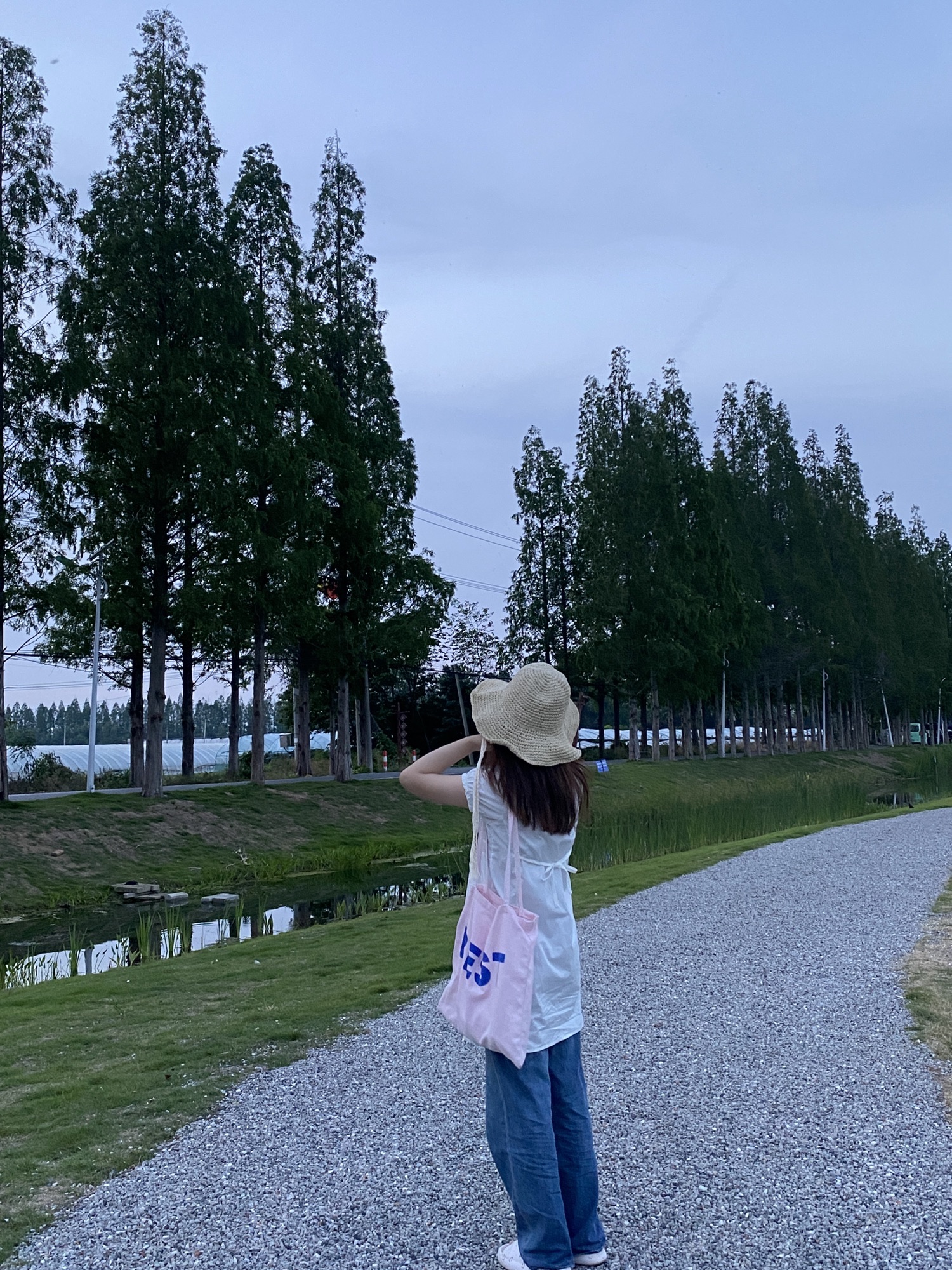 大圩生态农业旅游景区旅行图片 2