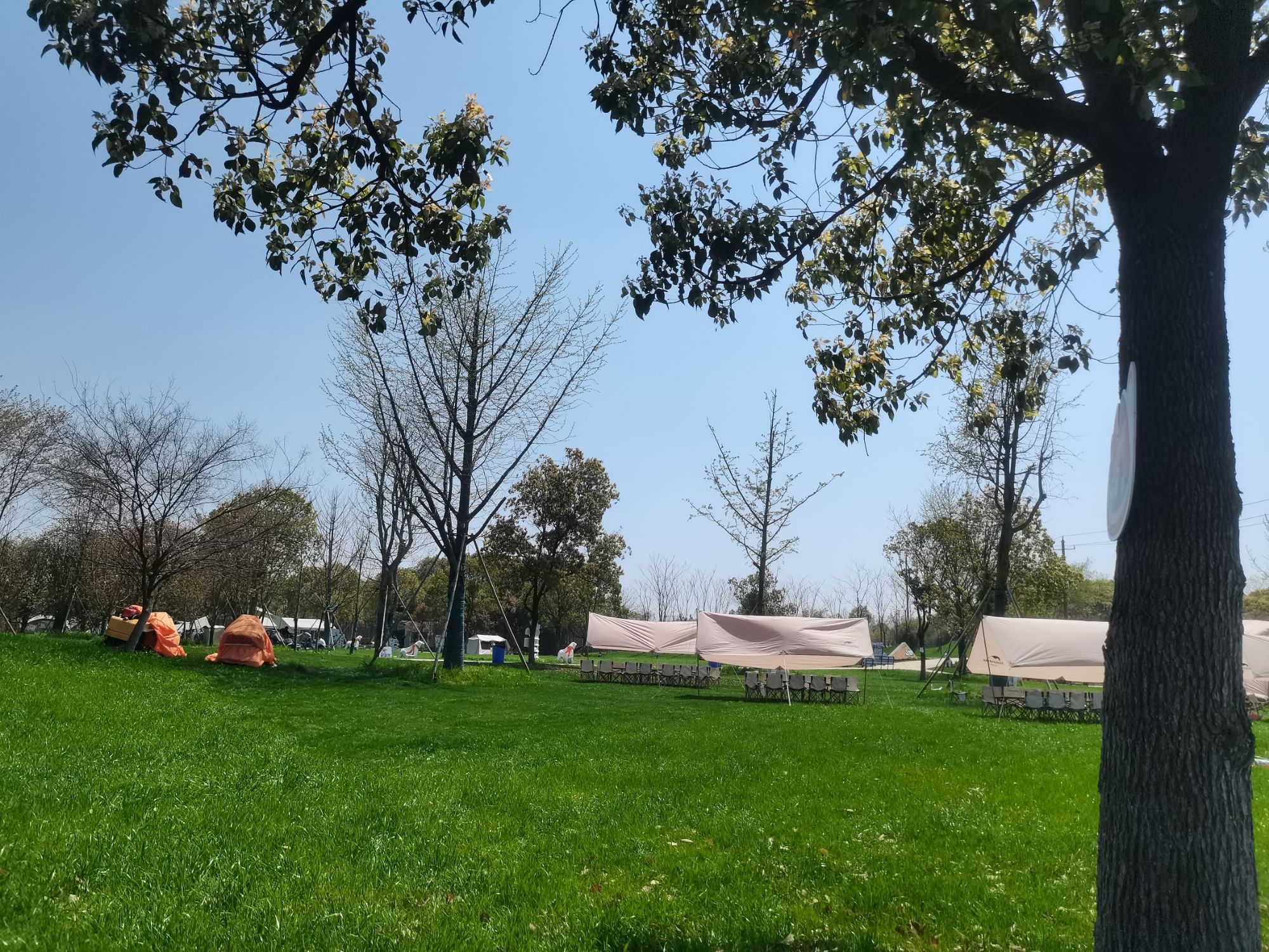 鸠兹部落旅行图片 1