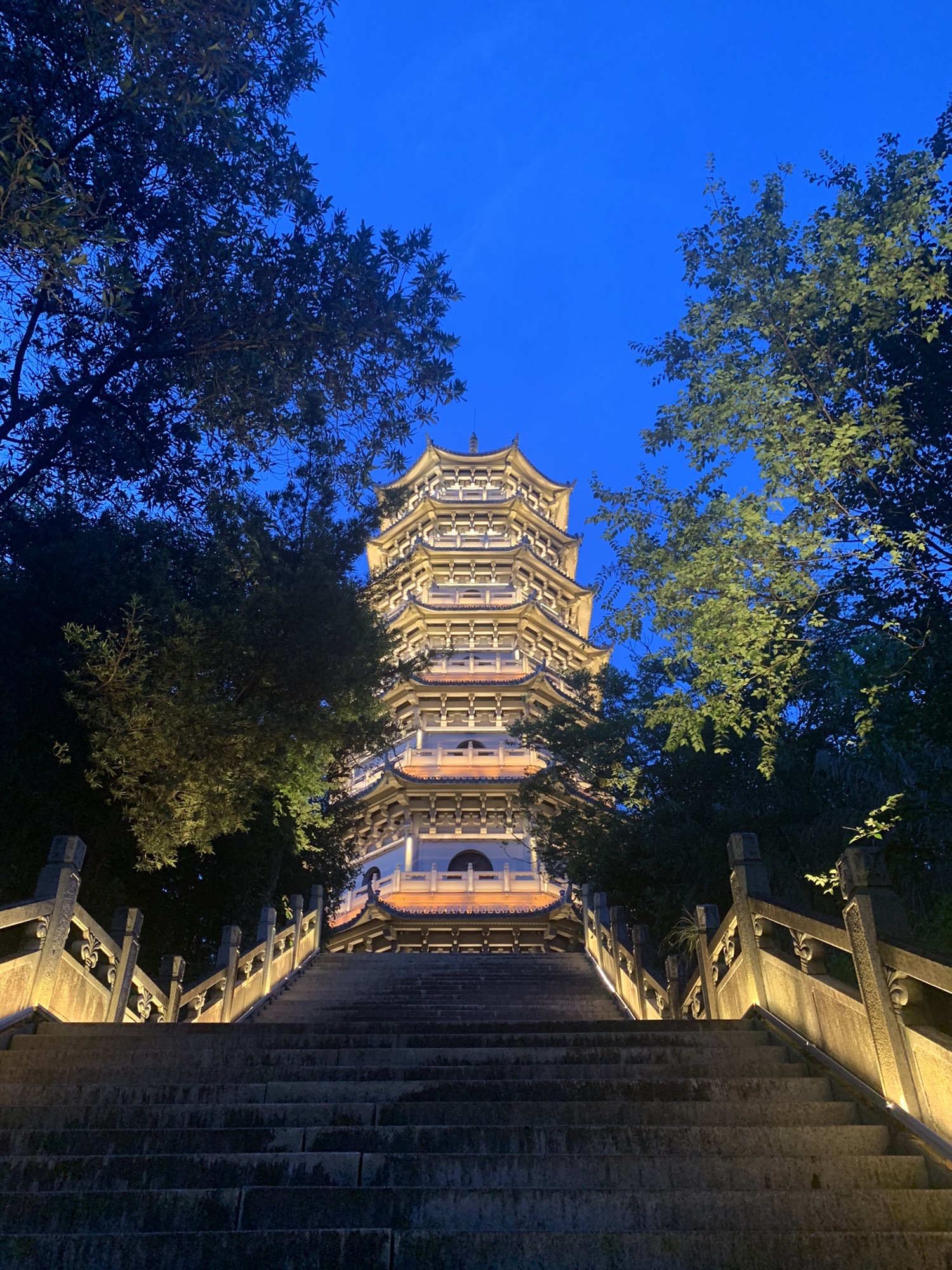 漳州城市森林公园旅行图片 2