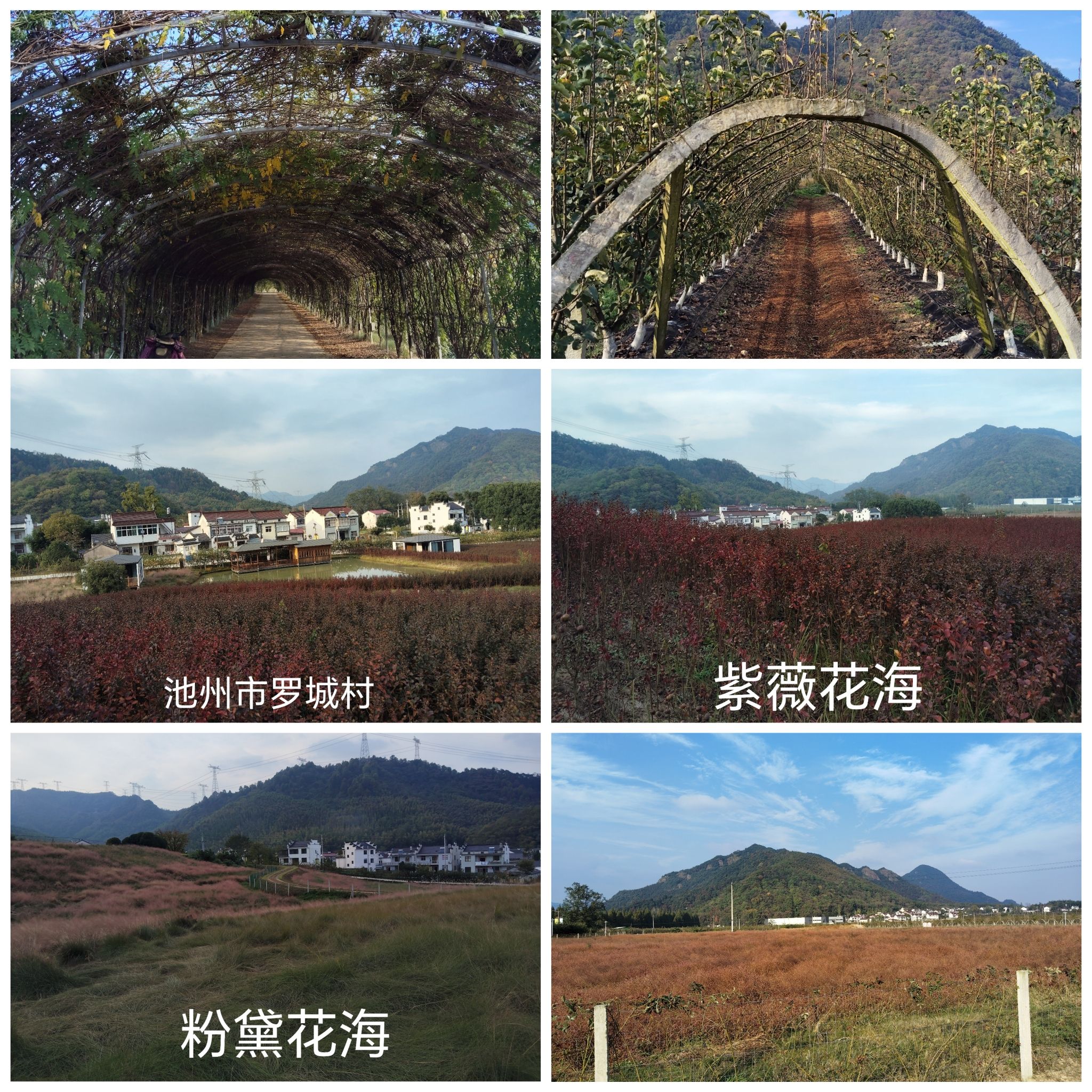 安徽罗城民歌文化旅游景区旅行图片 2