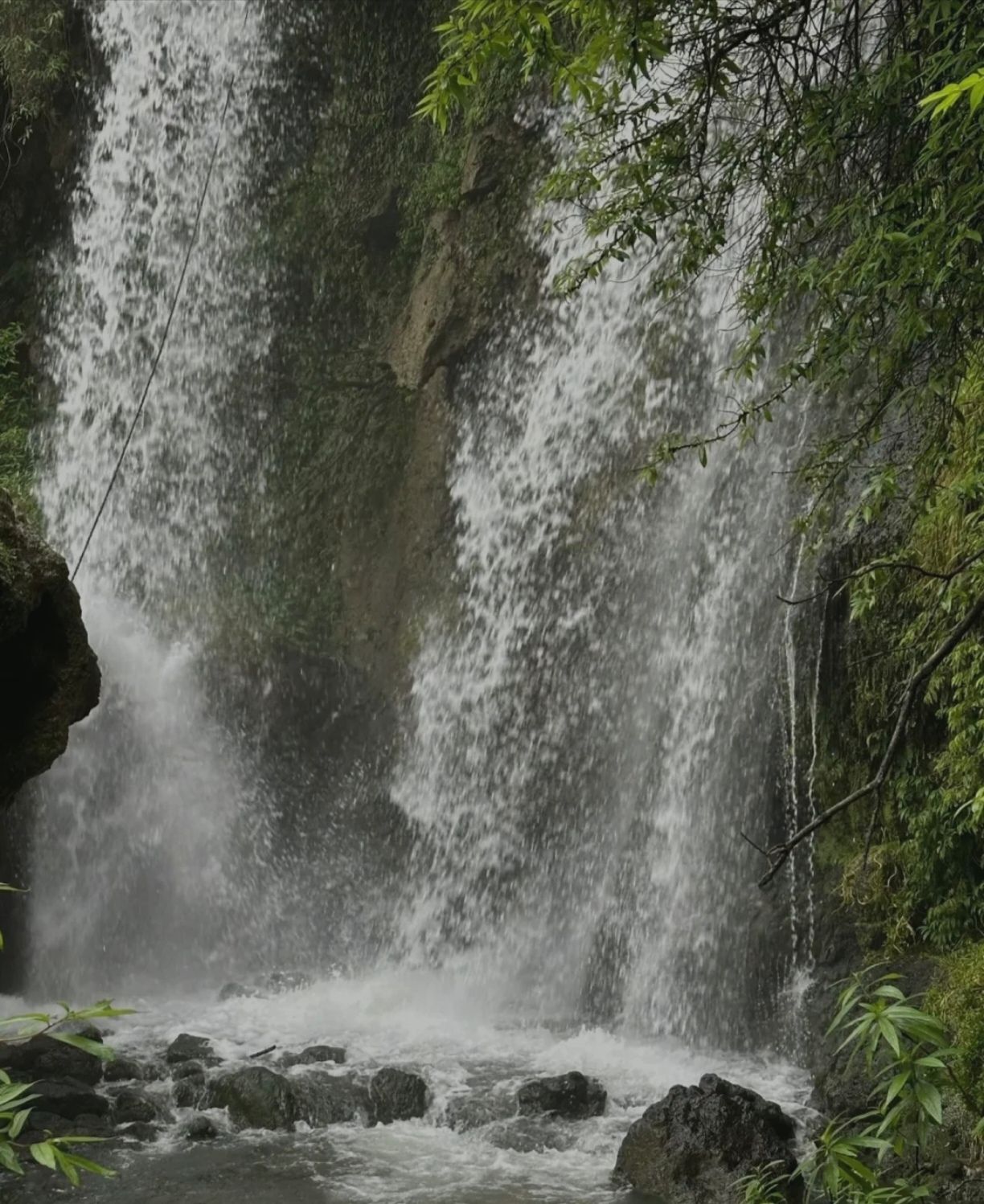 滴水岩公园旅行图片 2