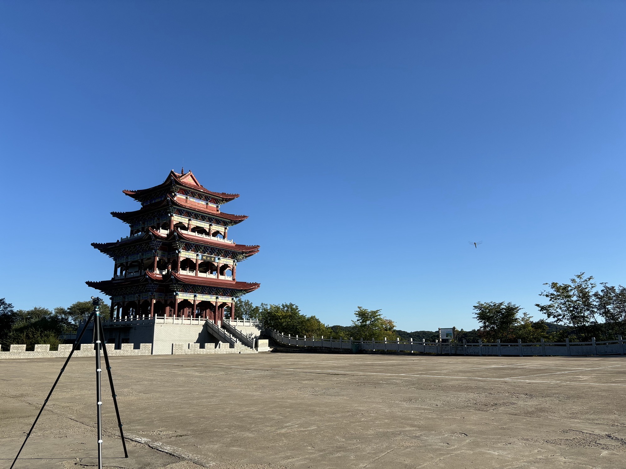 紫云阁旅行图片 1