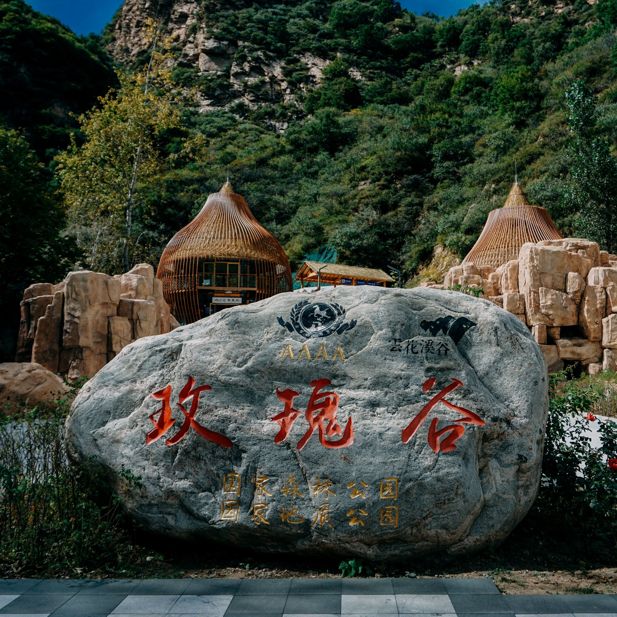 云花溪谷(暂停开放)旅行图片 1