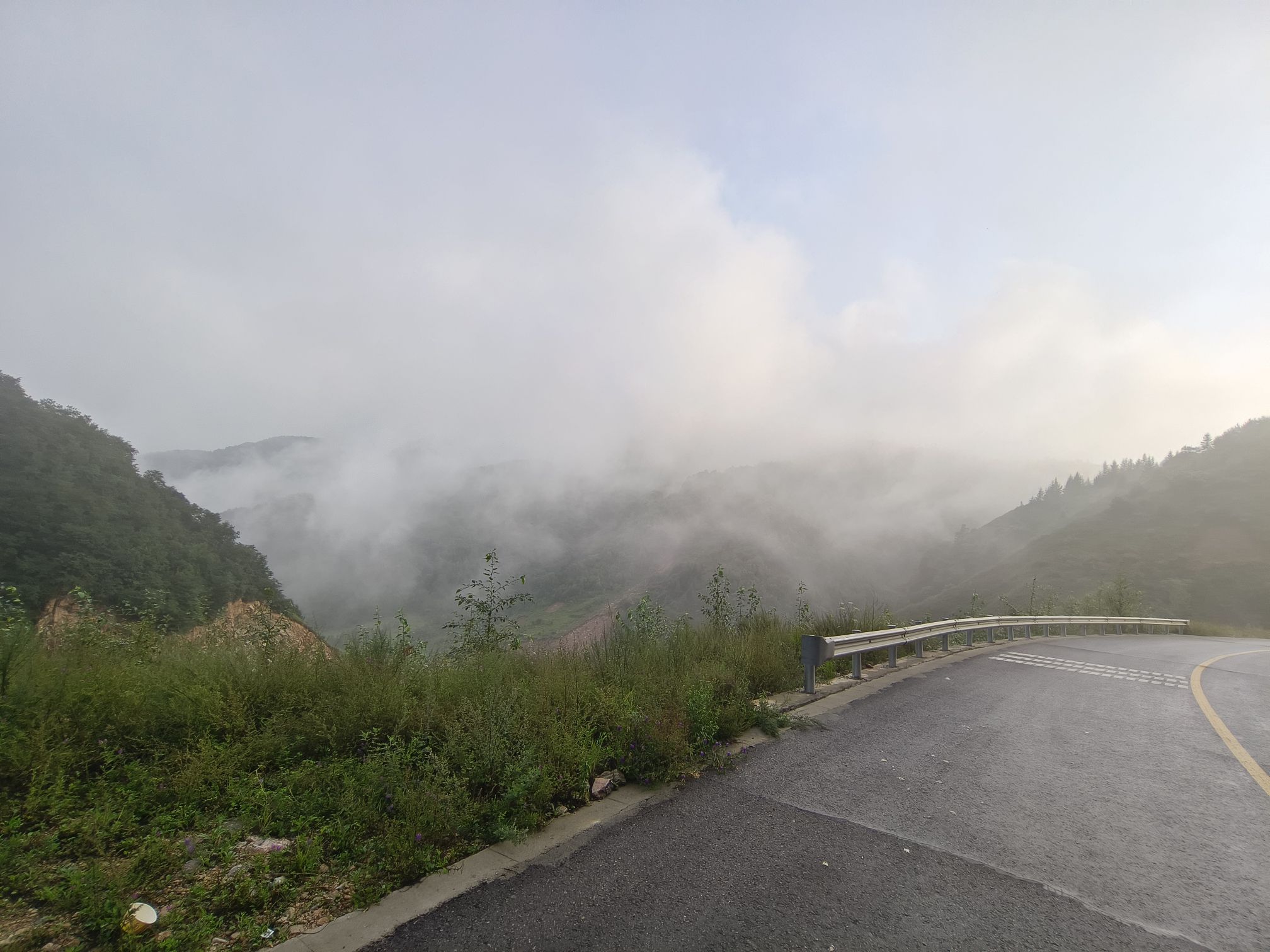 云花溪谷(暂停开放)旅行图片 2