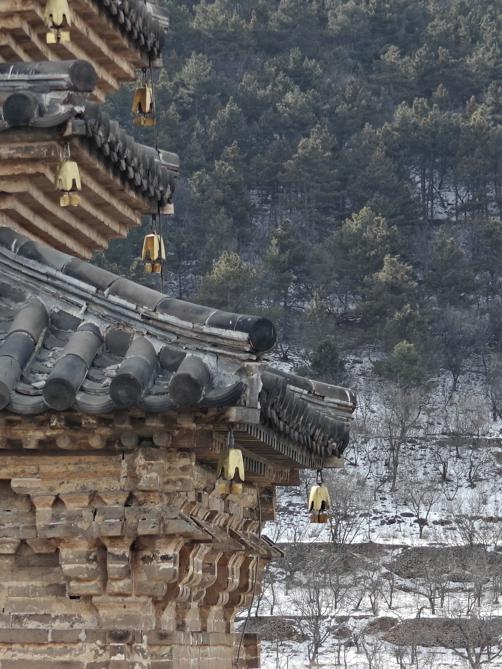 凤凰山大宝塔旅行图片 2