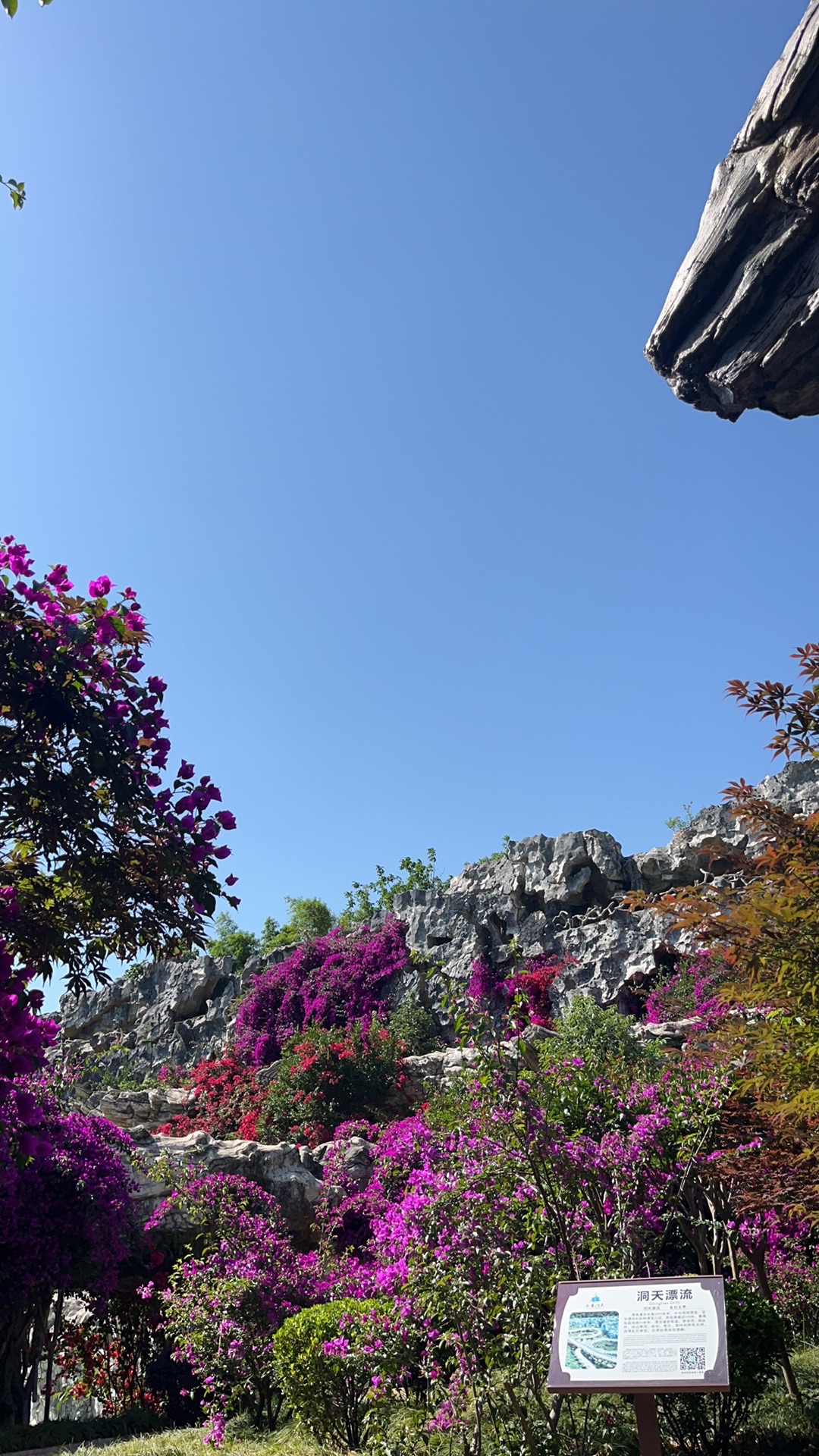 洞天水世界旅行图片 3