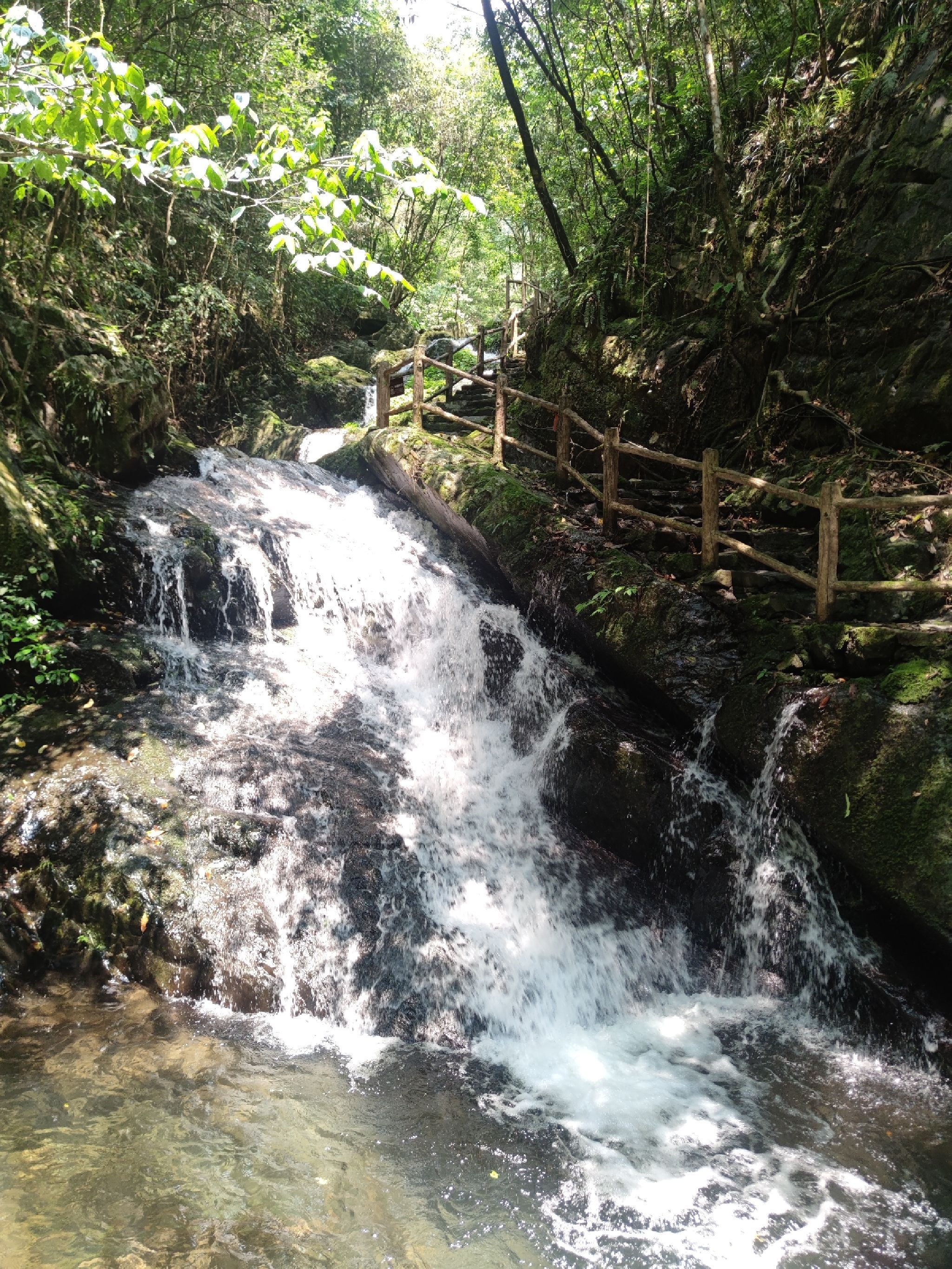 桂林在水一汸景区旅行图片 3