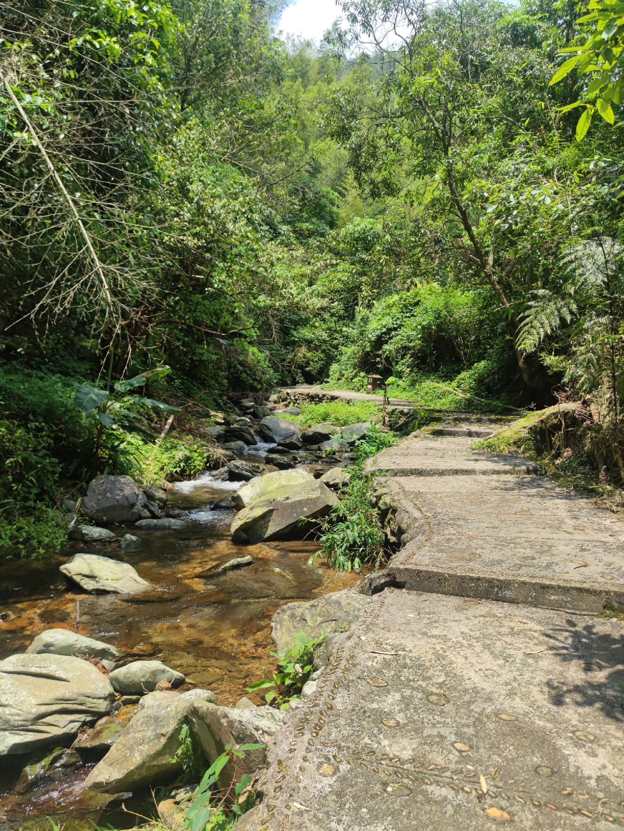 桂林在水一汸景区旅行图片 2