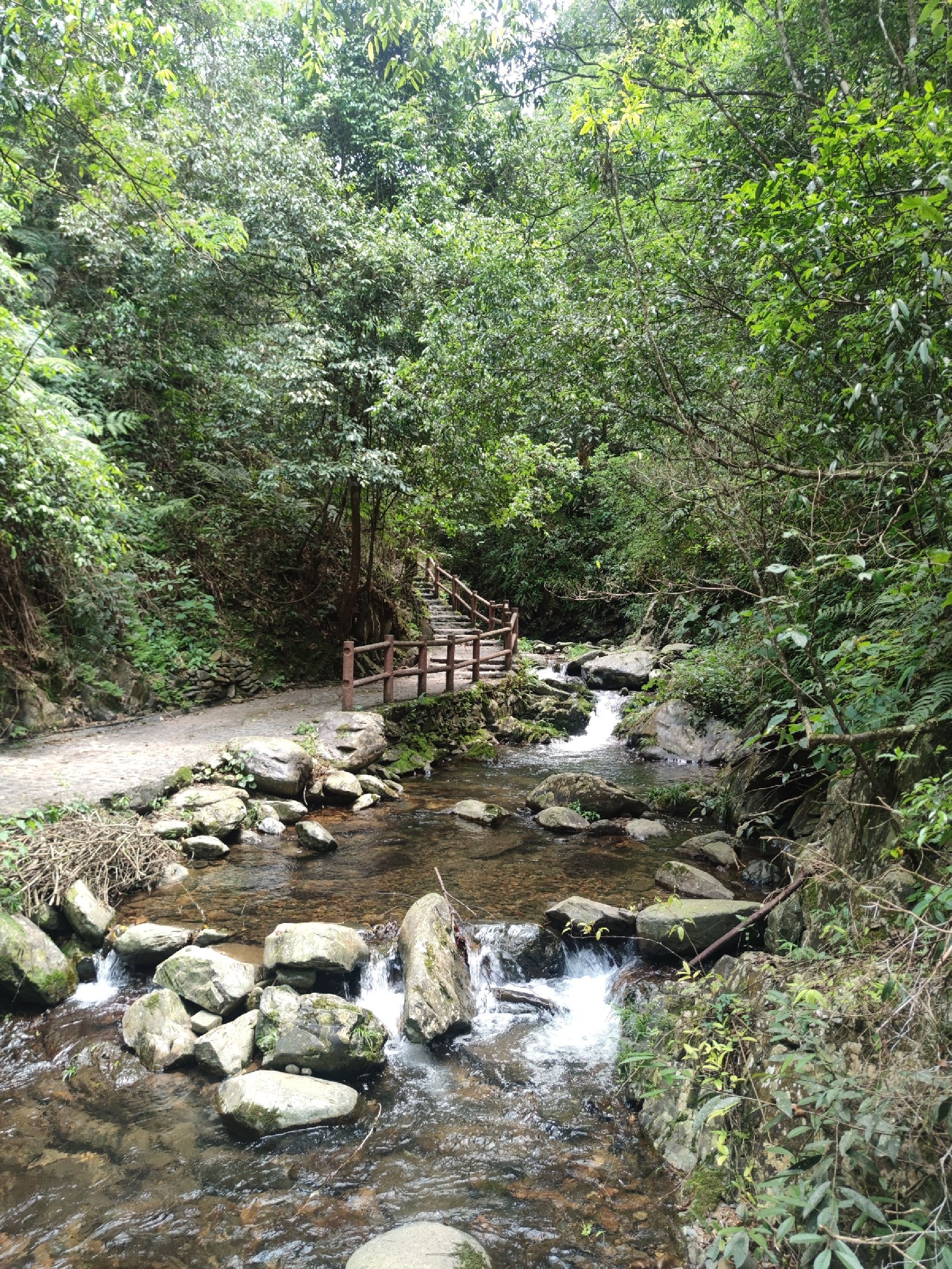 桂林在水一汸景区旅行图片 1