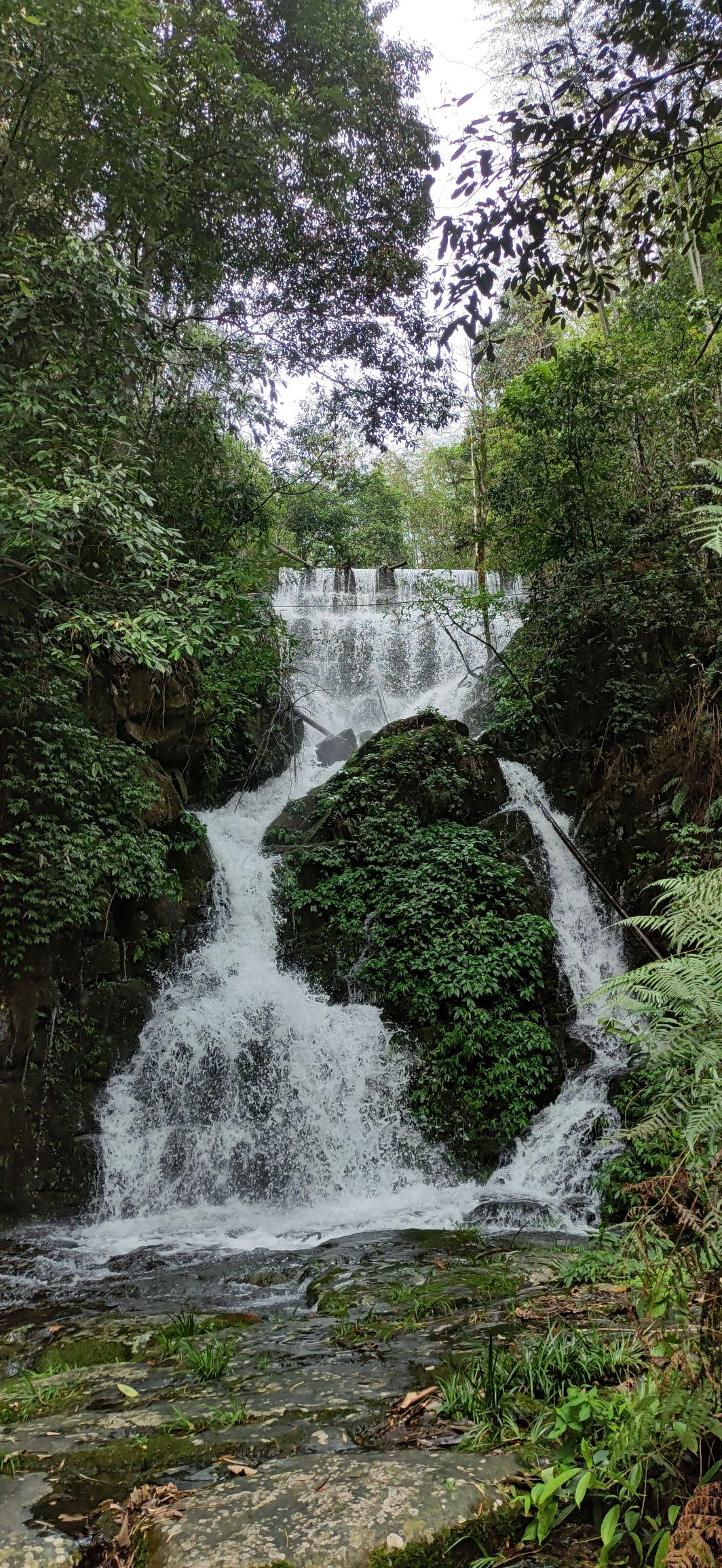 桂林在水一汸景区旅行图片 2