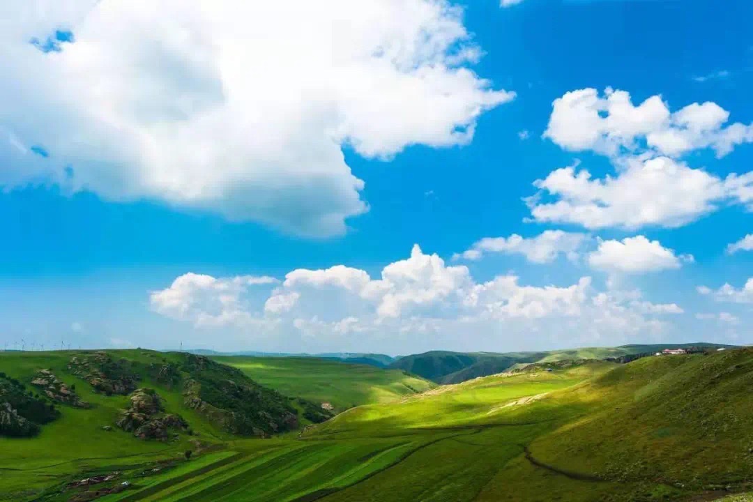 龙头岭景区旅行图片 3