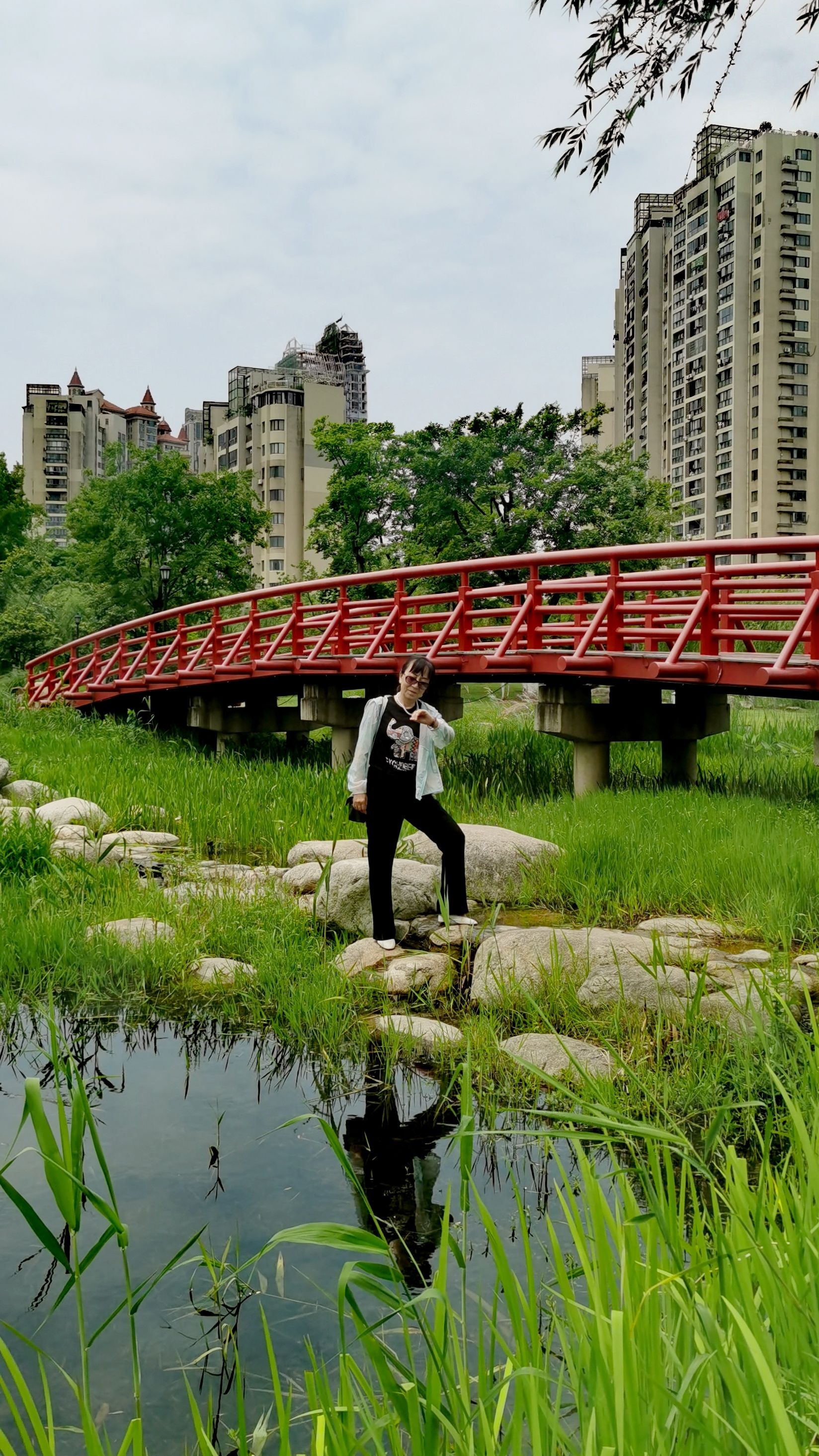 江湾湿地公园旅行图片 2