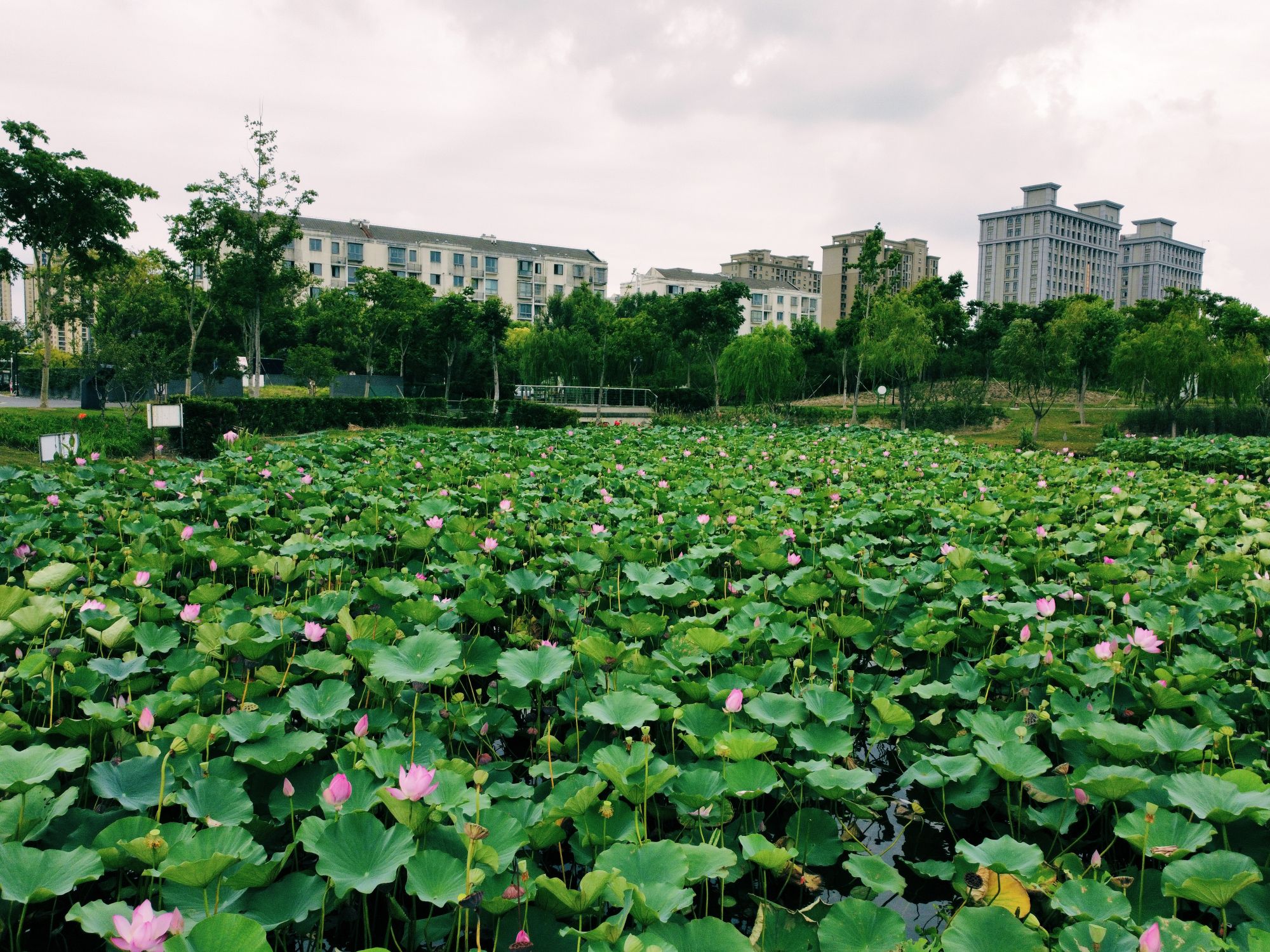 四团幸福公园旅行图片 3