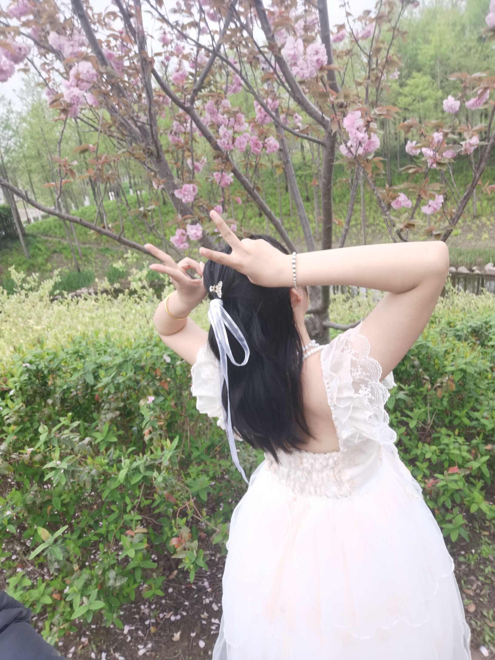 四团幸福公园旅行图片 2