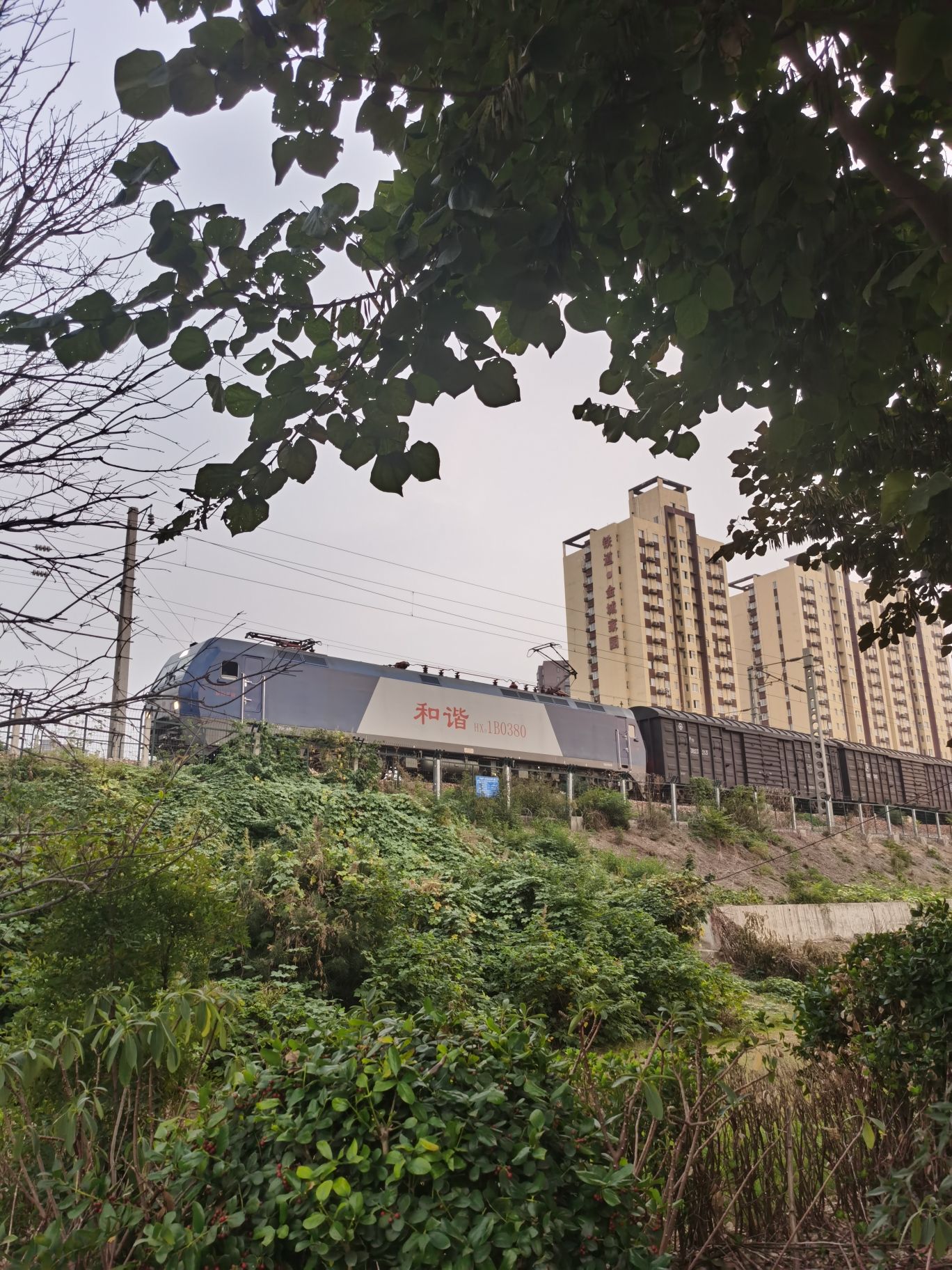 陇秀公园旅行图片 1