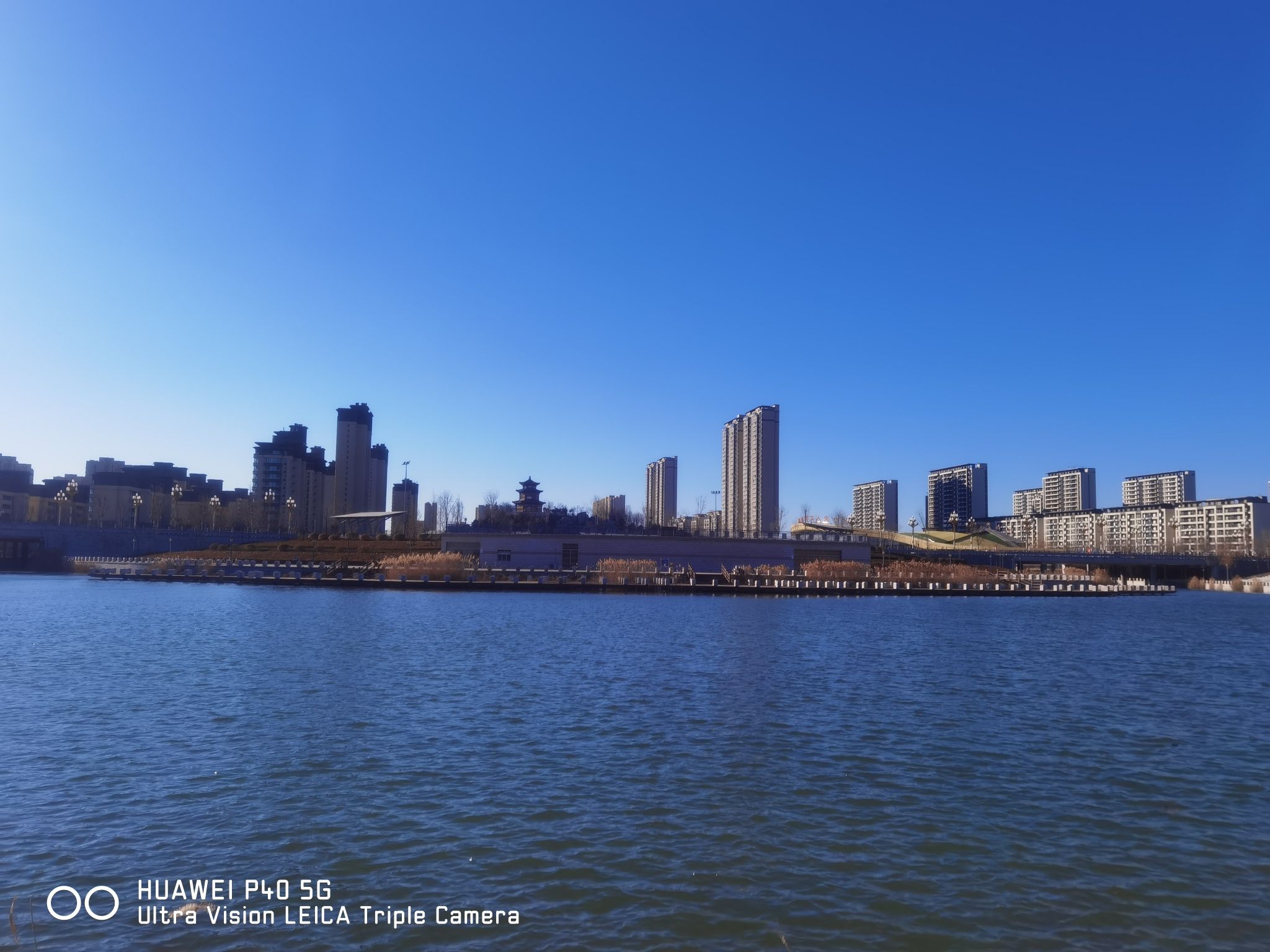 中央公园旅行图片 3