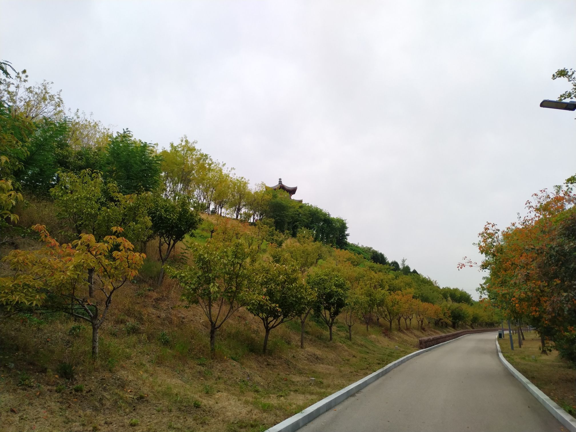 中央公园旅行图片 1