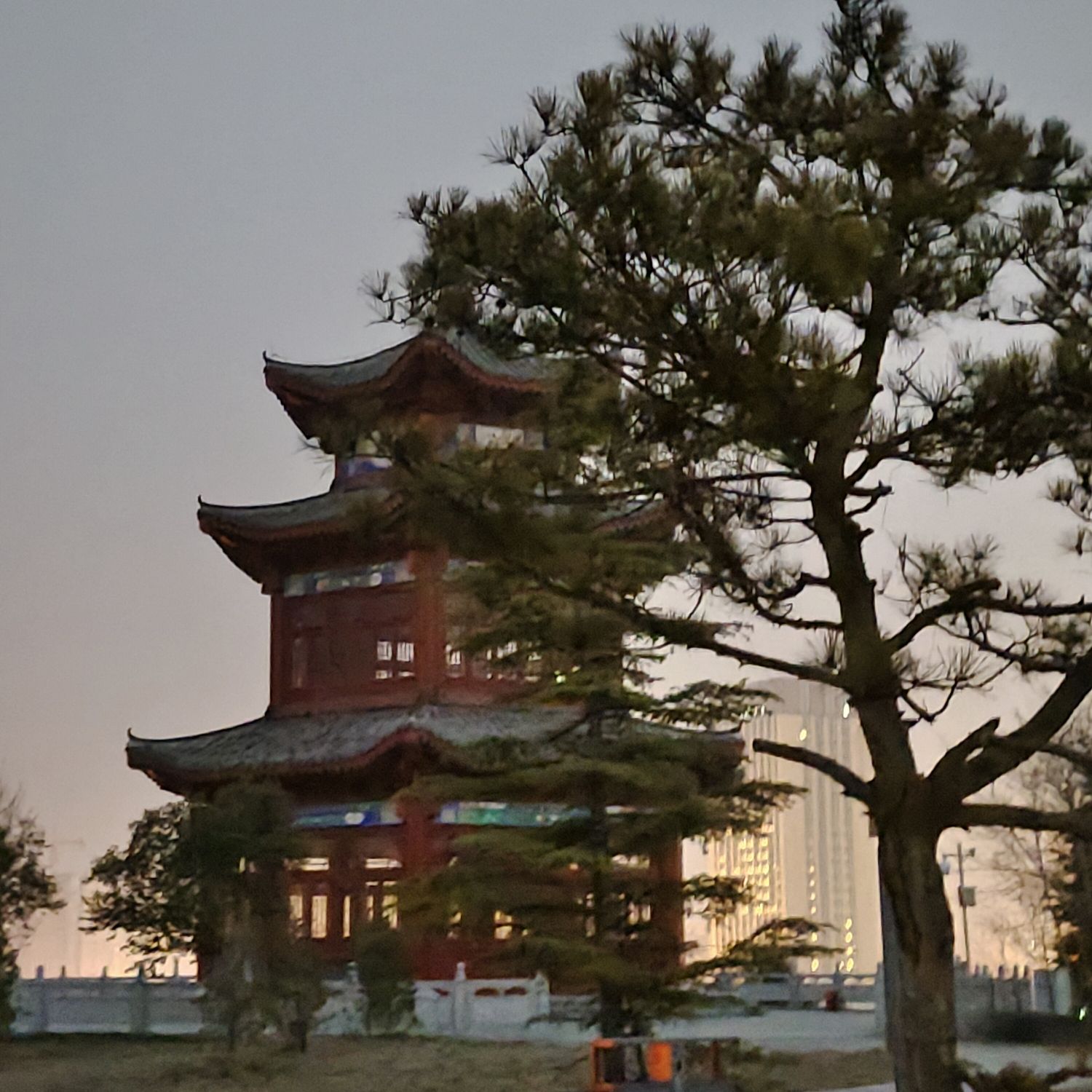 中央公园旅行图片 1