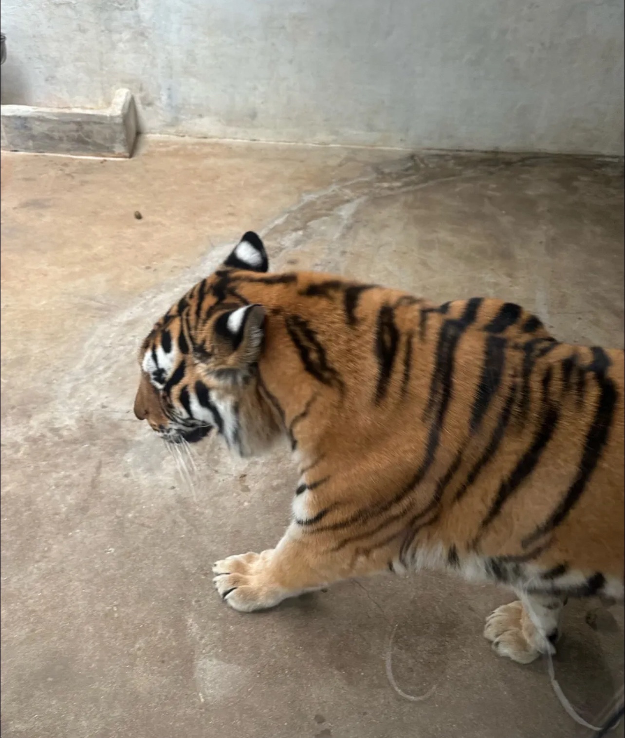 归元生态园旅行图片 3