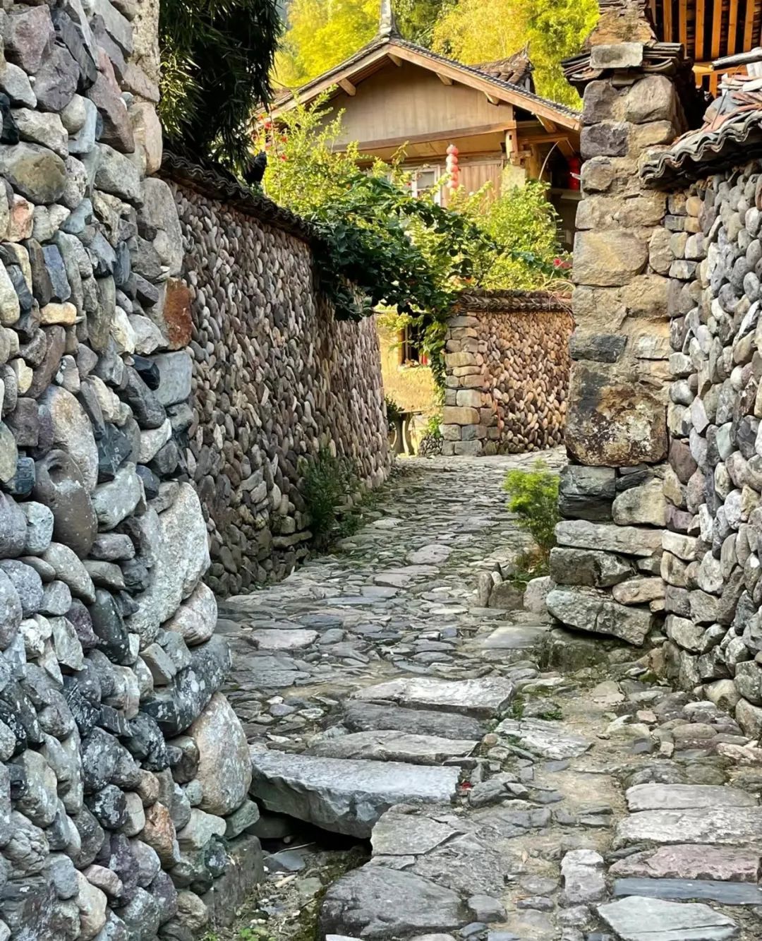 库村古村落旅行图片 1