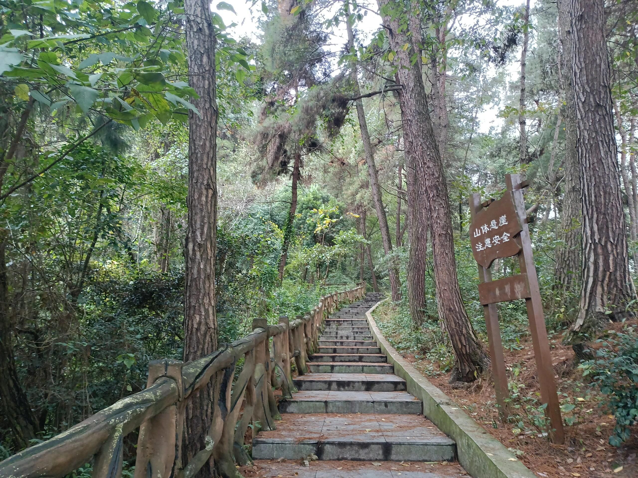 二层岩森林公园旅行图片 1