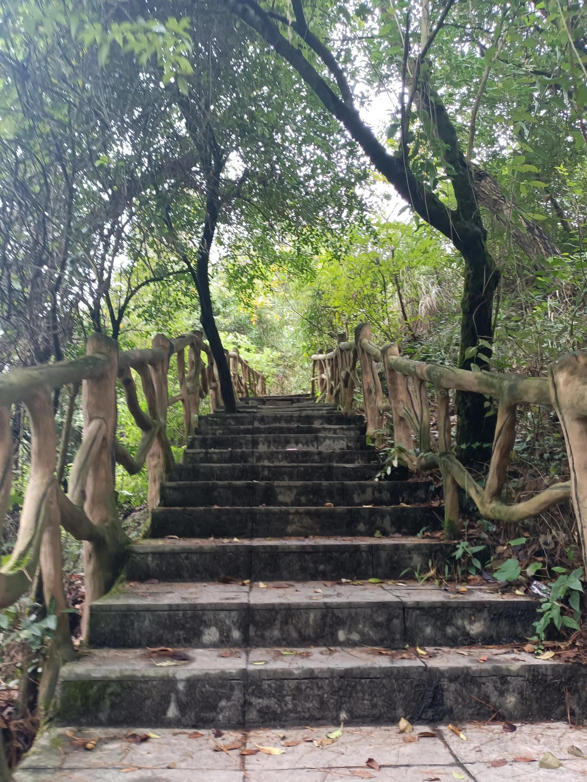 二层岩森林公园旅行图片 2