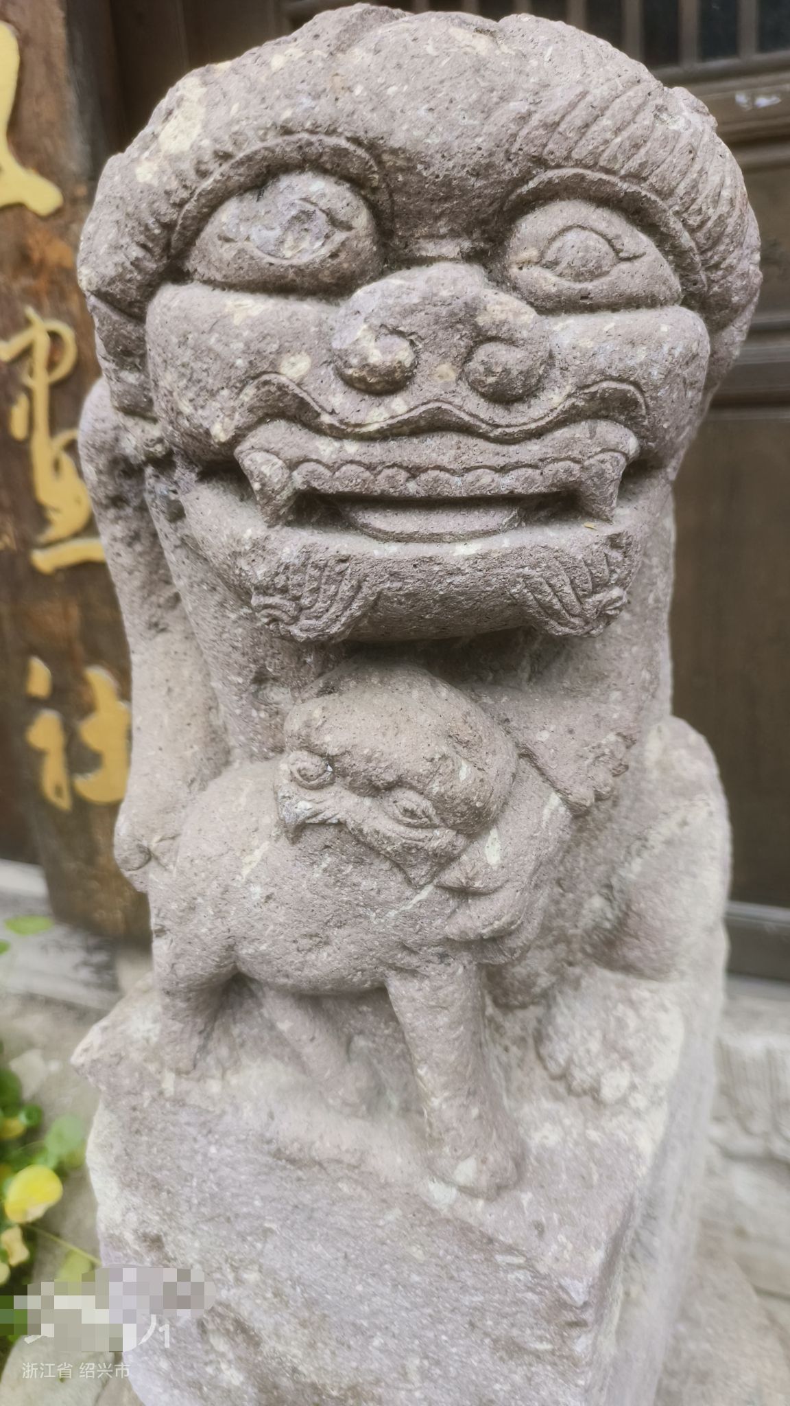 丰惠古镇景区旅行图片 1
