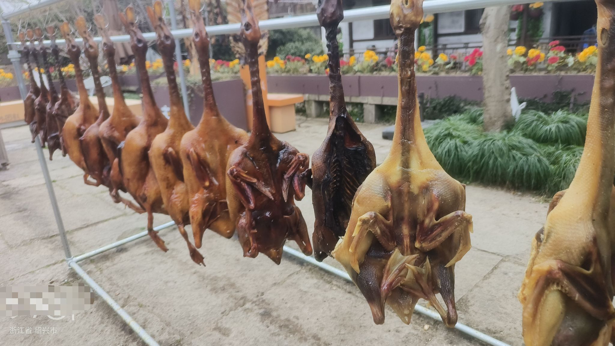 丰惠古镇景区旅行图片 3