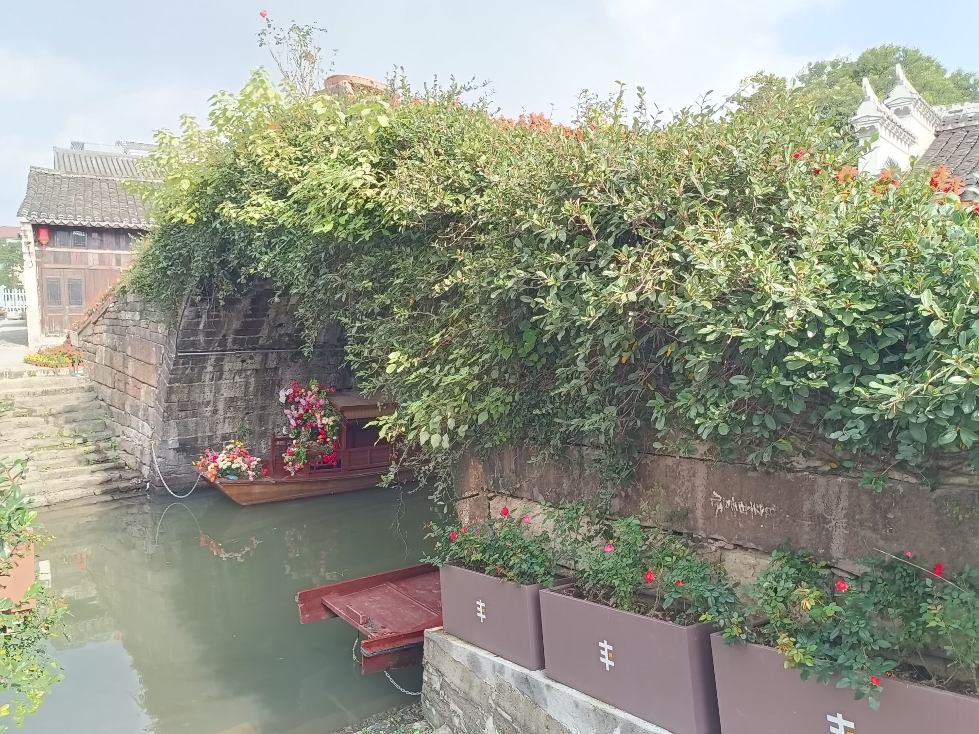 丰惠古镇景区旅行图片 3
