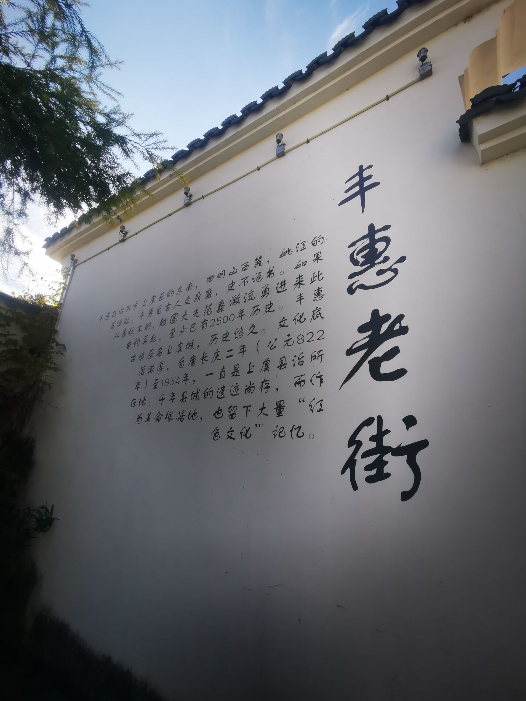 丰惠古镇景区旅行图片 3