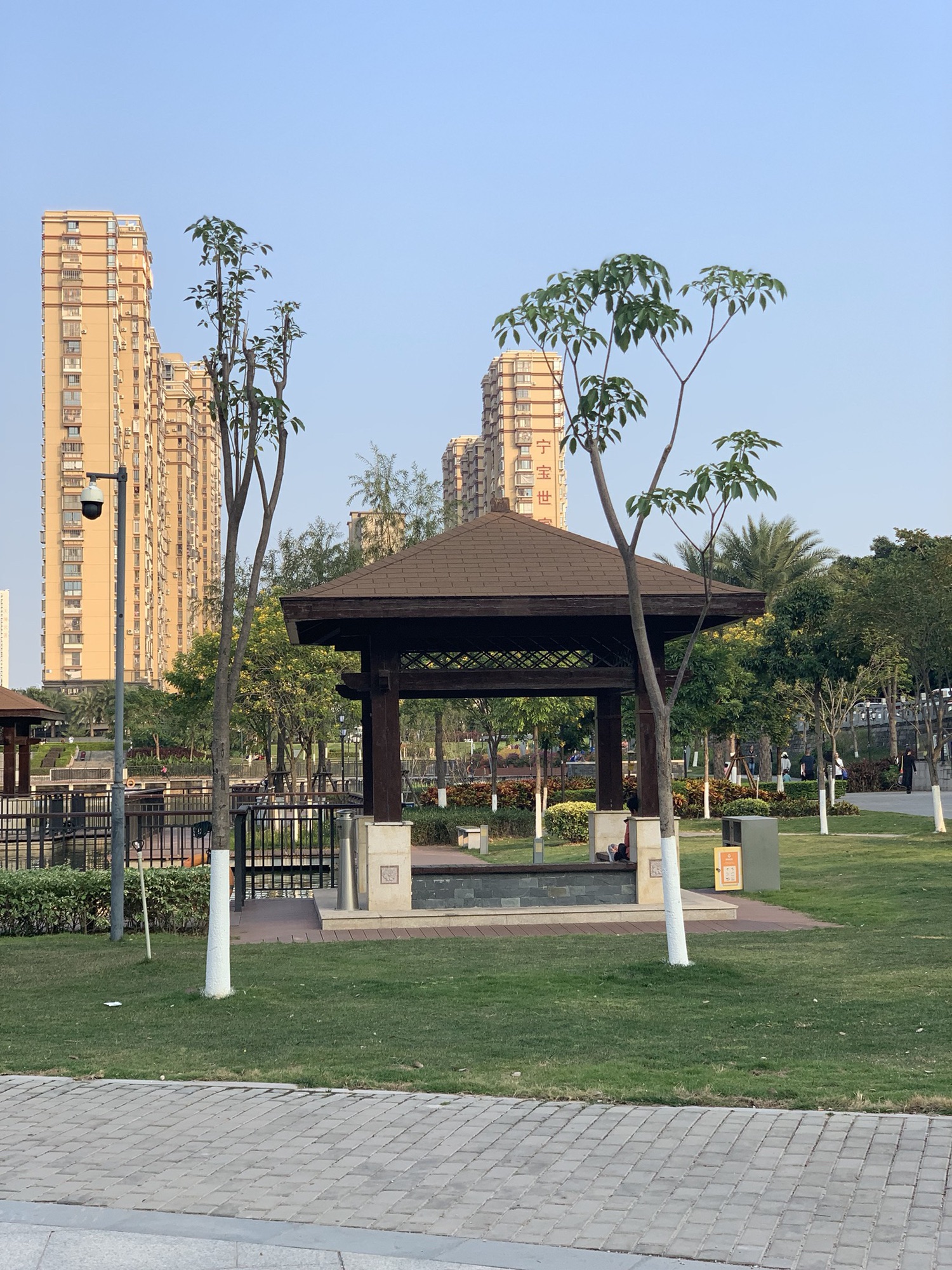 宁宝公园旅行图片 2