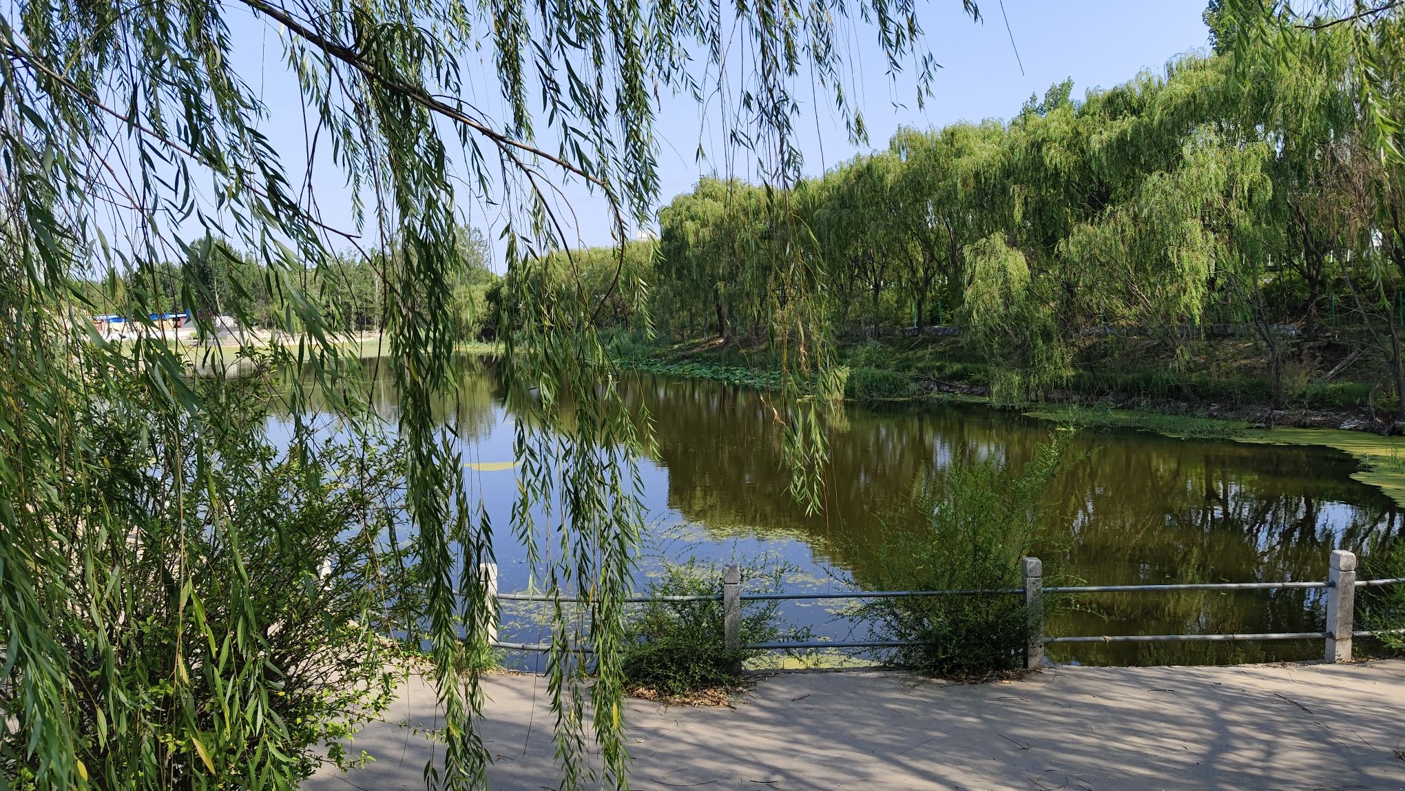 狐狸墓旅行图片 3