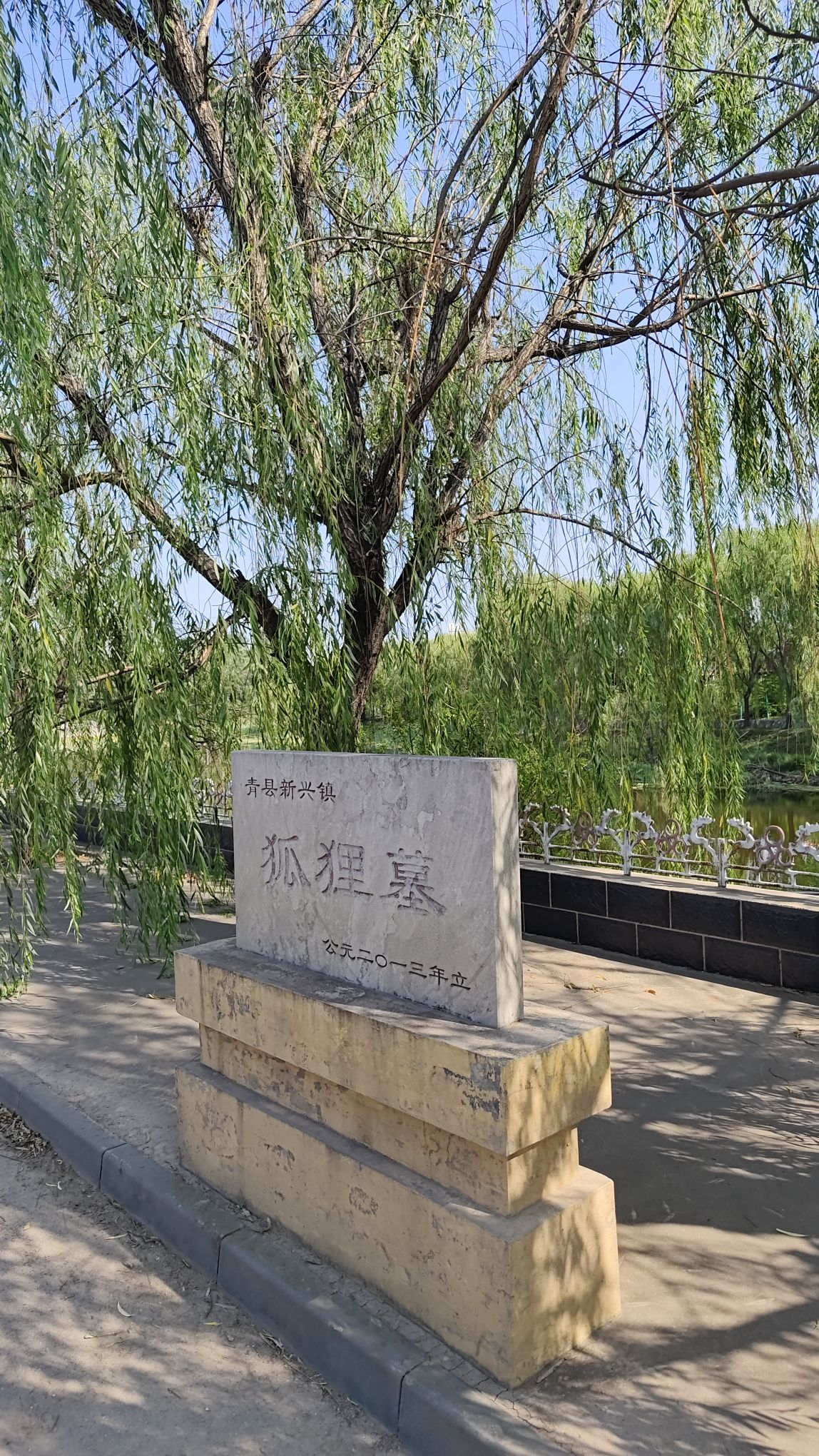 狐狸墓旅行图片 2