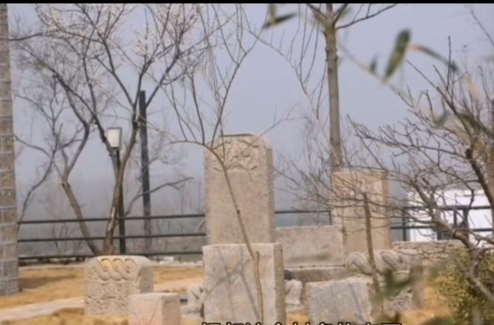 狐狸墓旅行图片 3
