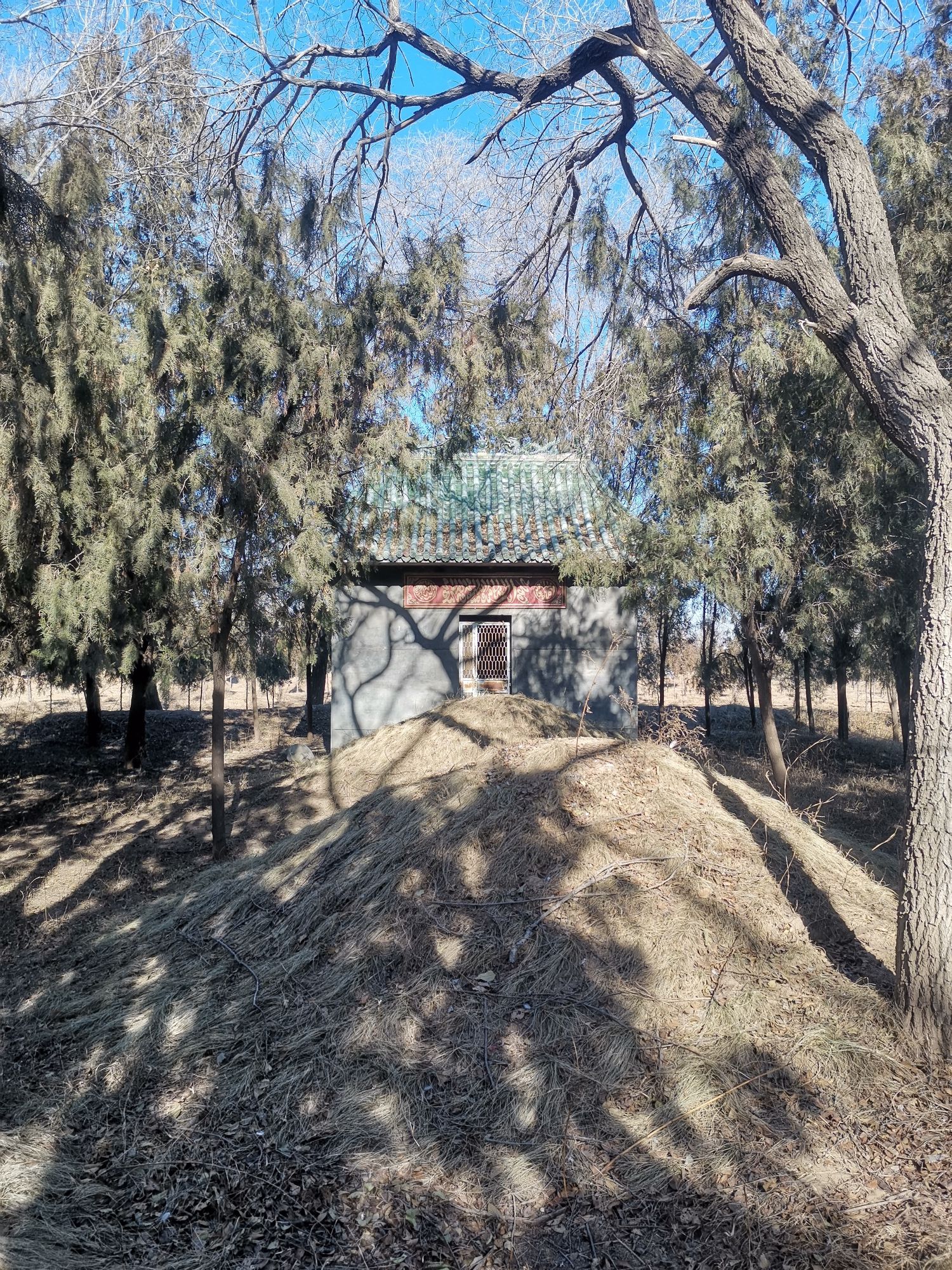 狐狸墓旅行图片 2